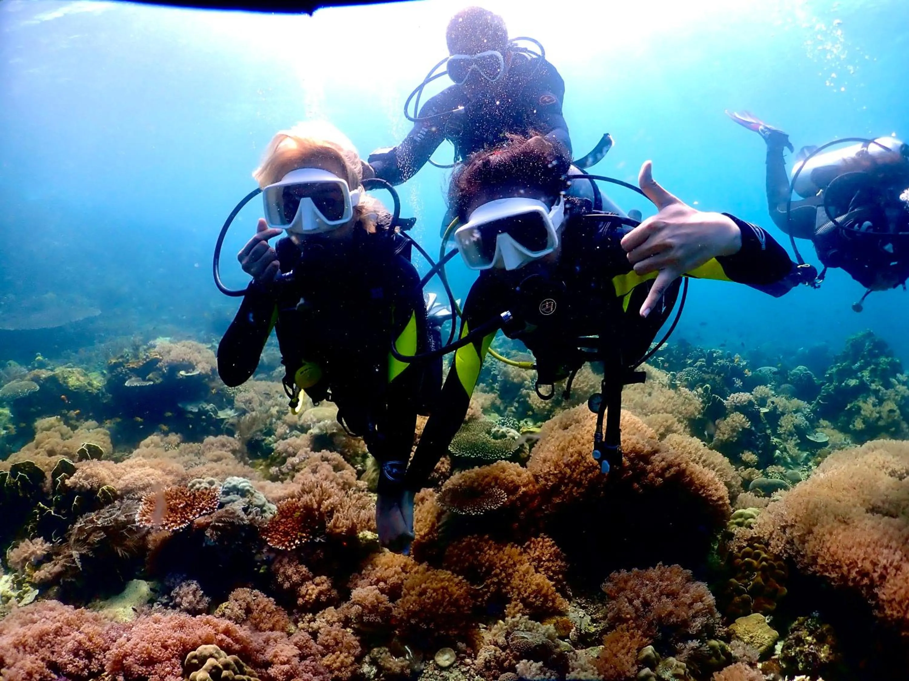 PamAnilao and Padoy's Dive Camp
