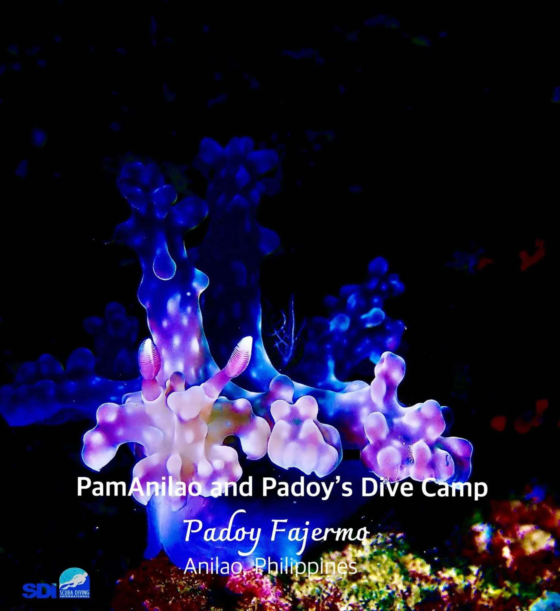 PamAnilao and Padoy's Dive Camp