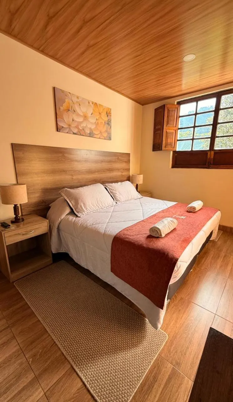 Deluxe Queen Room - single occupancy in Hotel Villa Mercedes Colonial