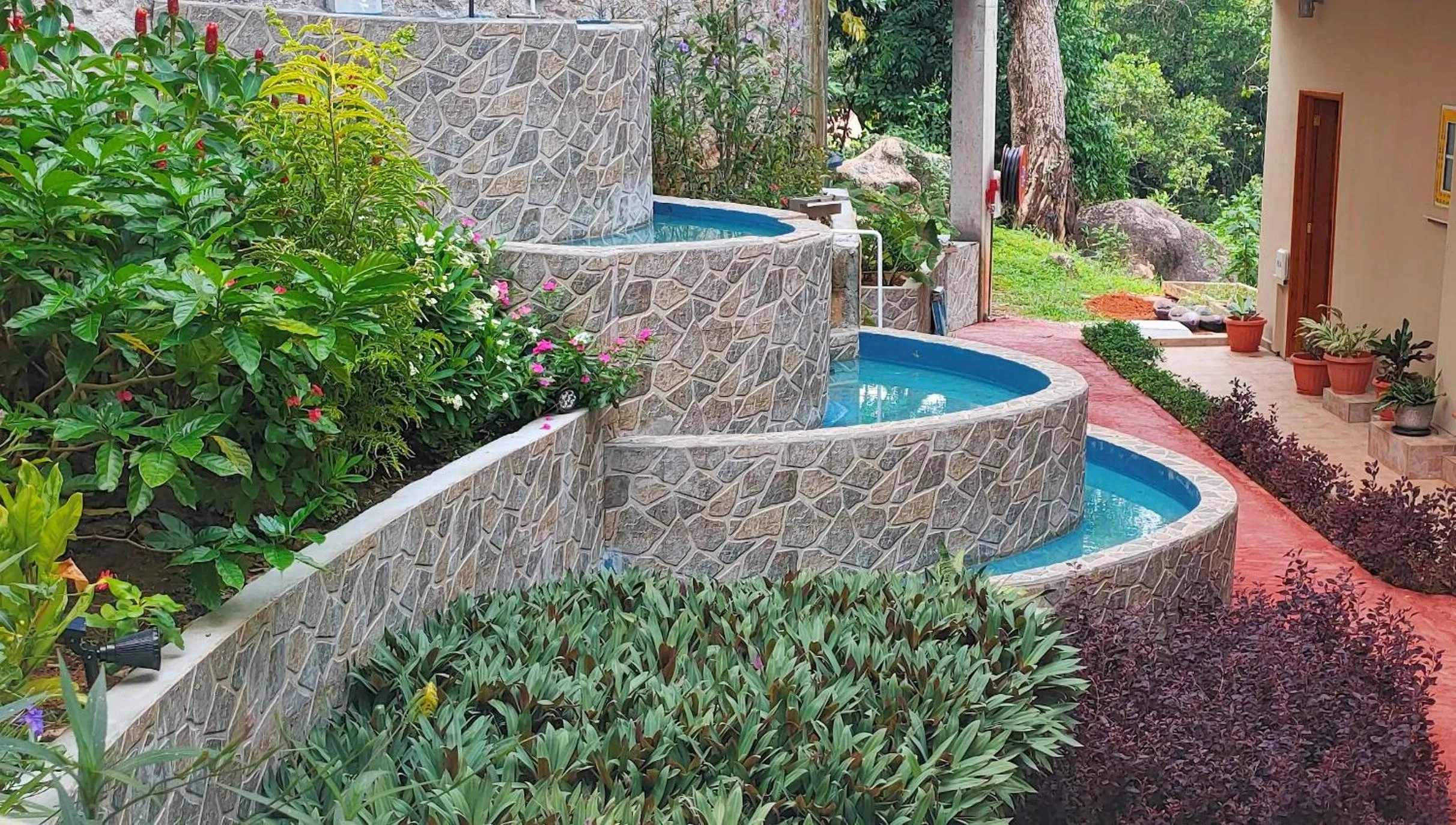 Garden in Mountain View Hotel