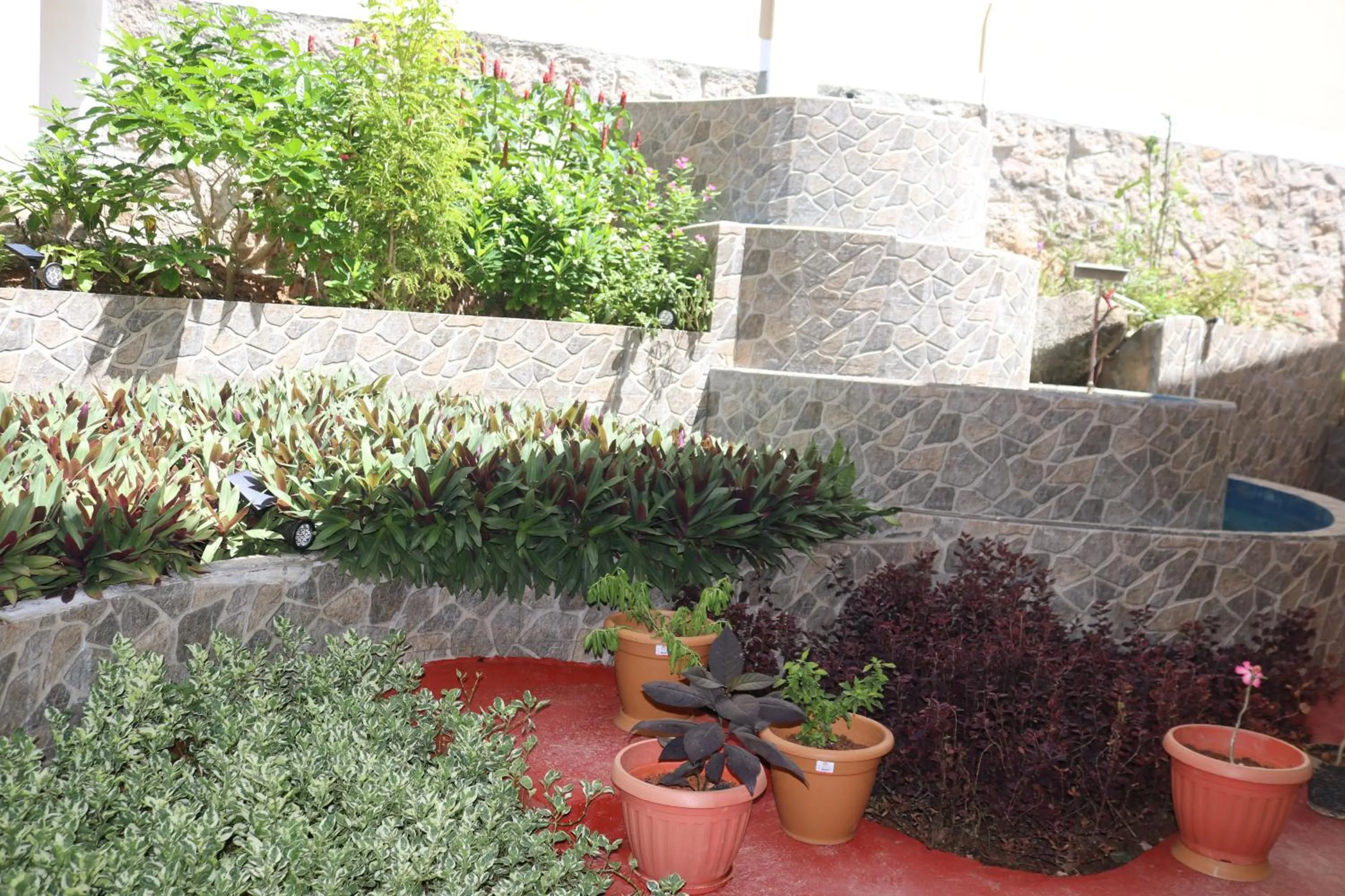 Garden in Mountain View Hotel