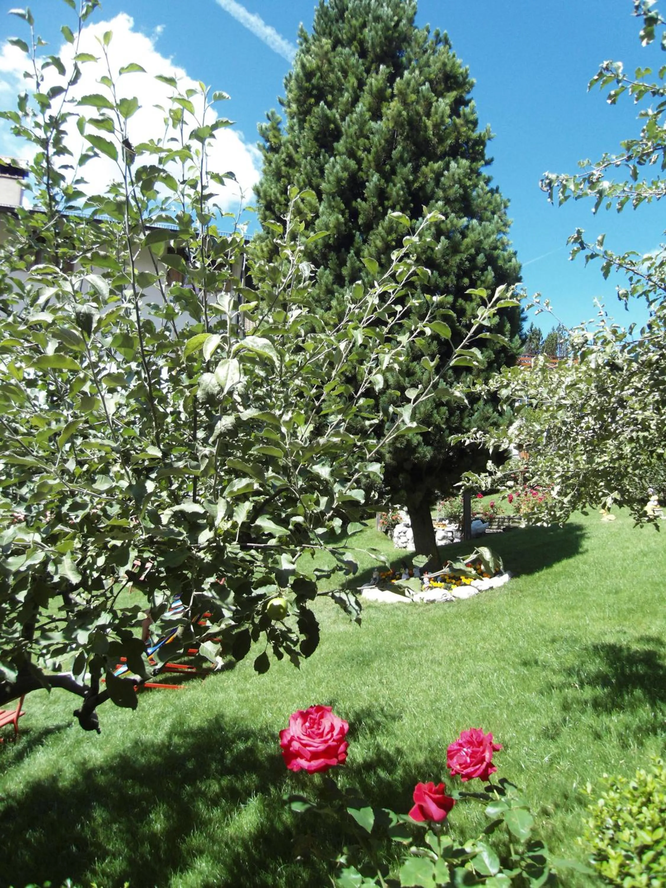 Spring in Hotel L'Ideale