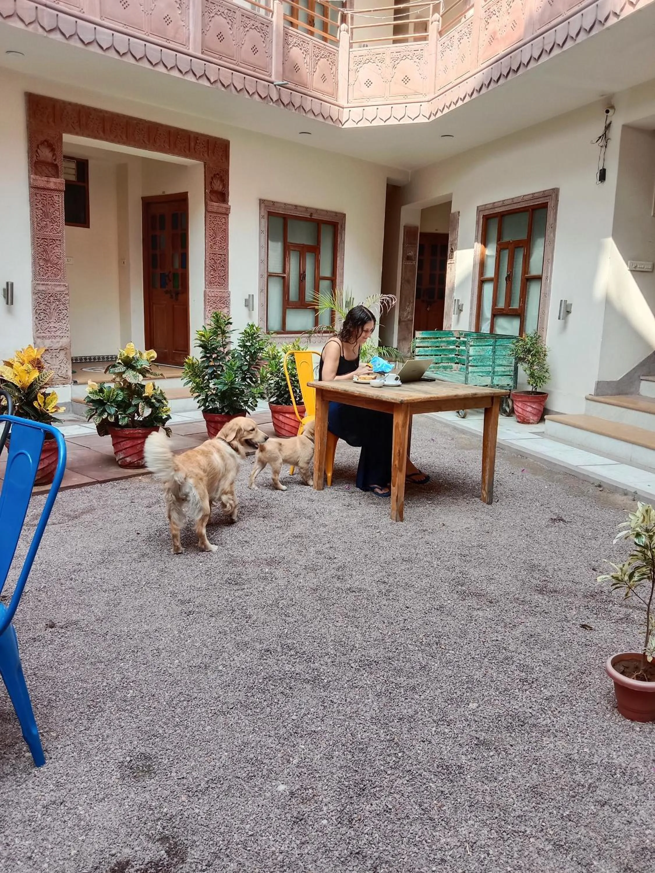 Restaurant/places to eat in Rigmor haveli