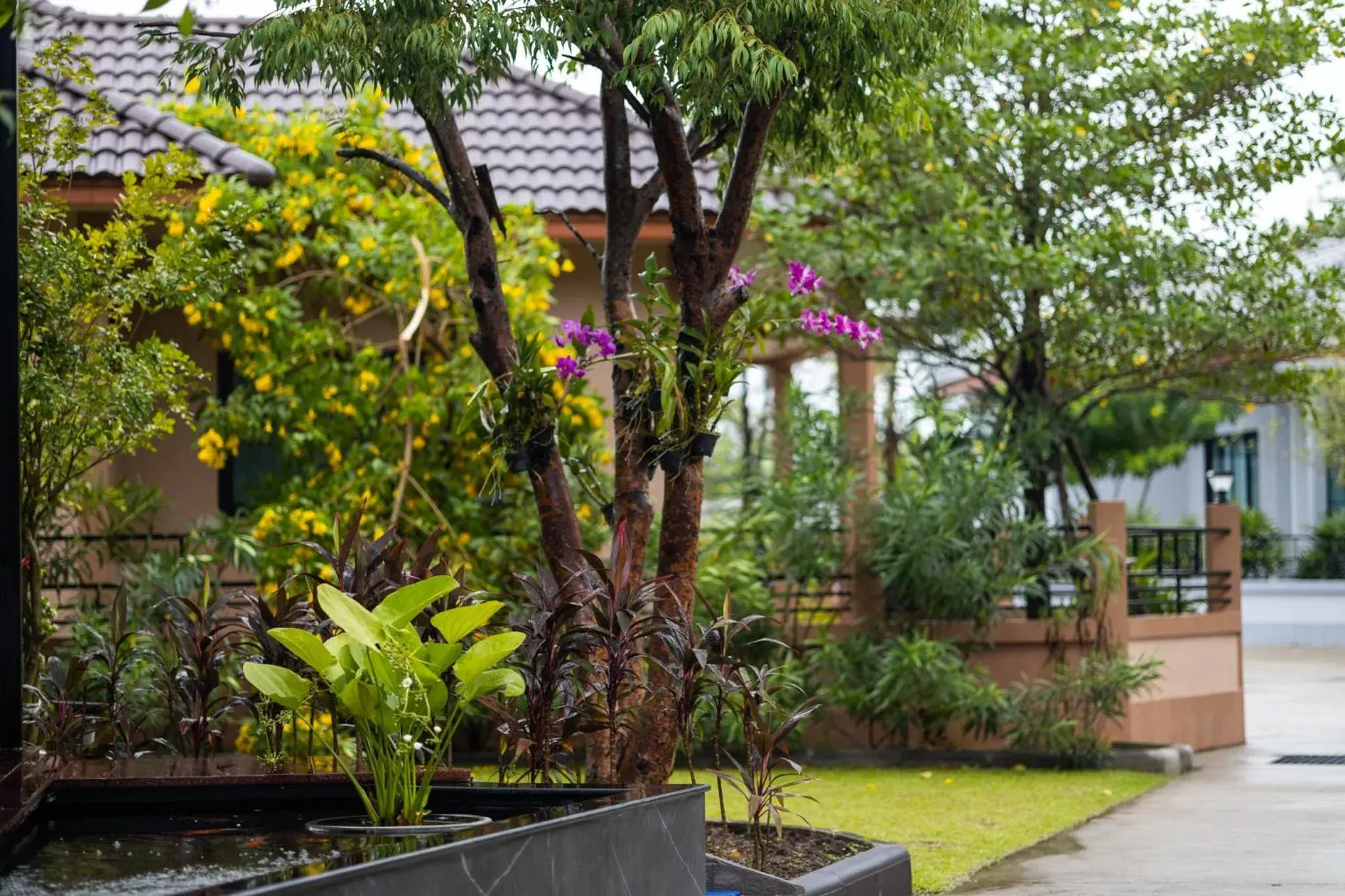 View (from property/room) in Baan Nern Khao Resort Pattaya View (from property/room) in Baan Nern Khao Resort Pattaya