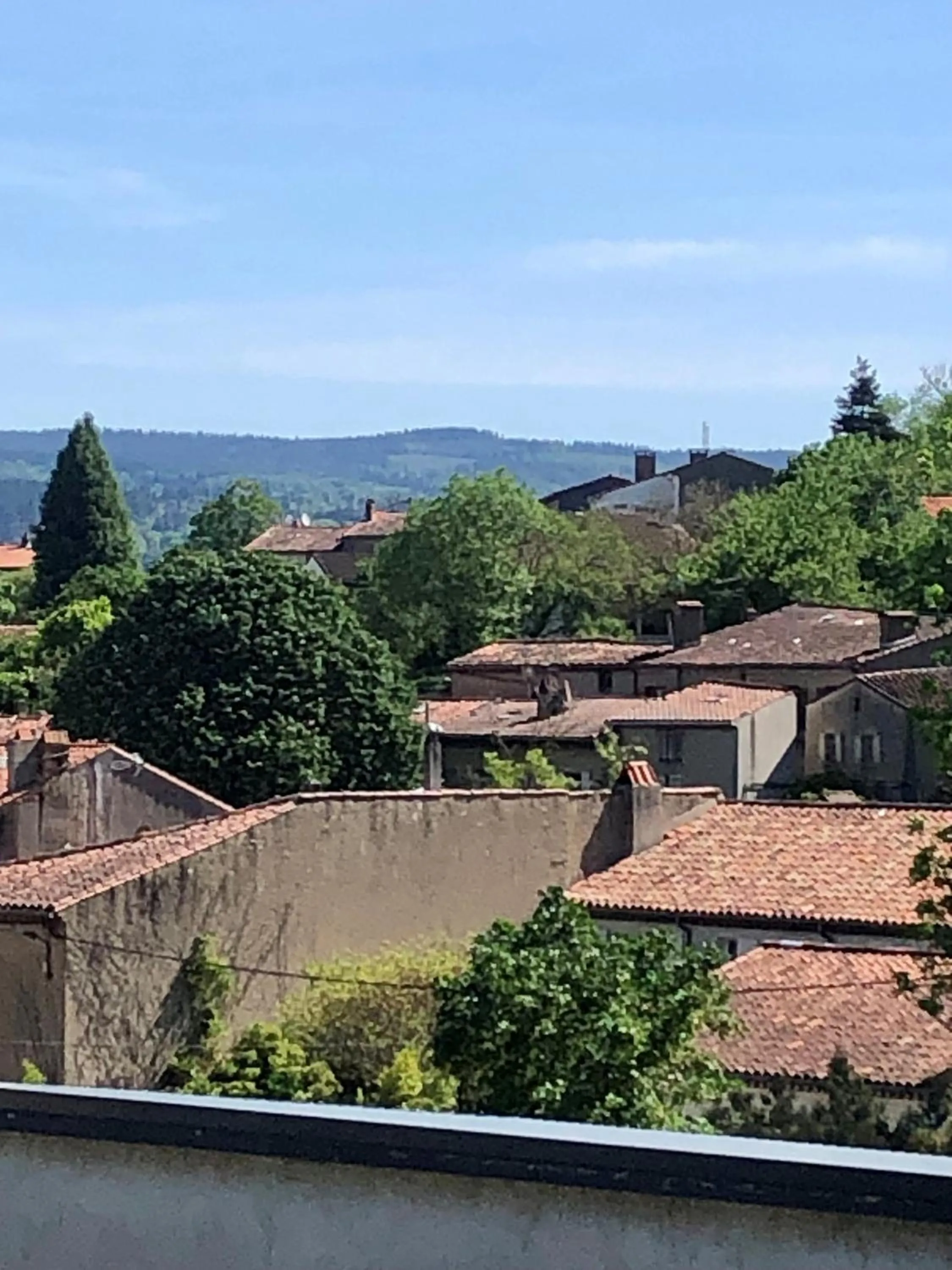 Double Room with Garden View in La Grande Maison Mazamet