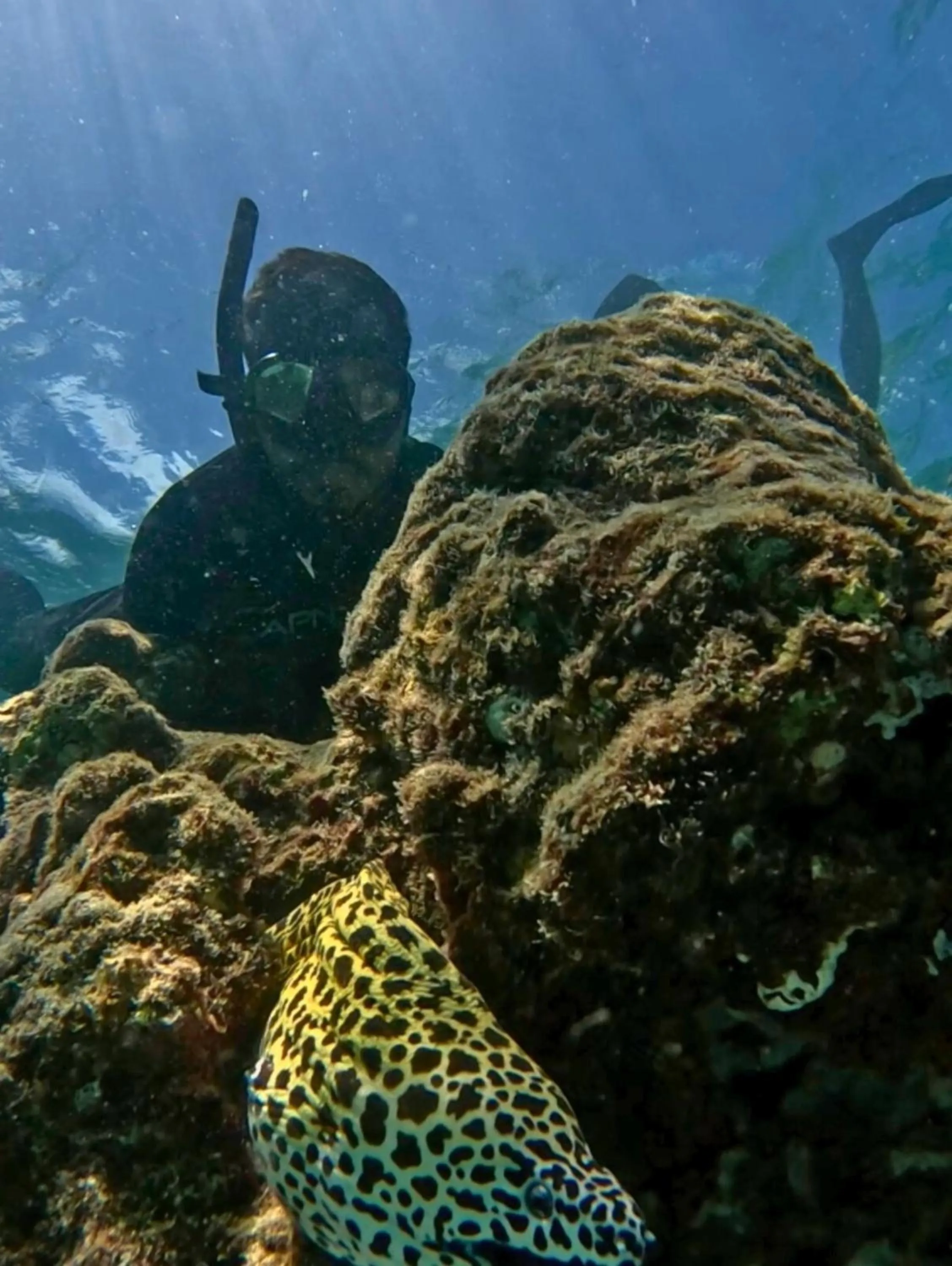 Snorkeling in Noah Private Beach House