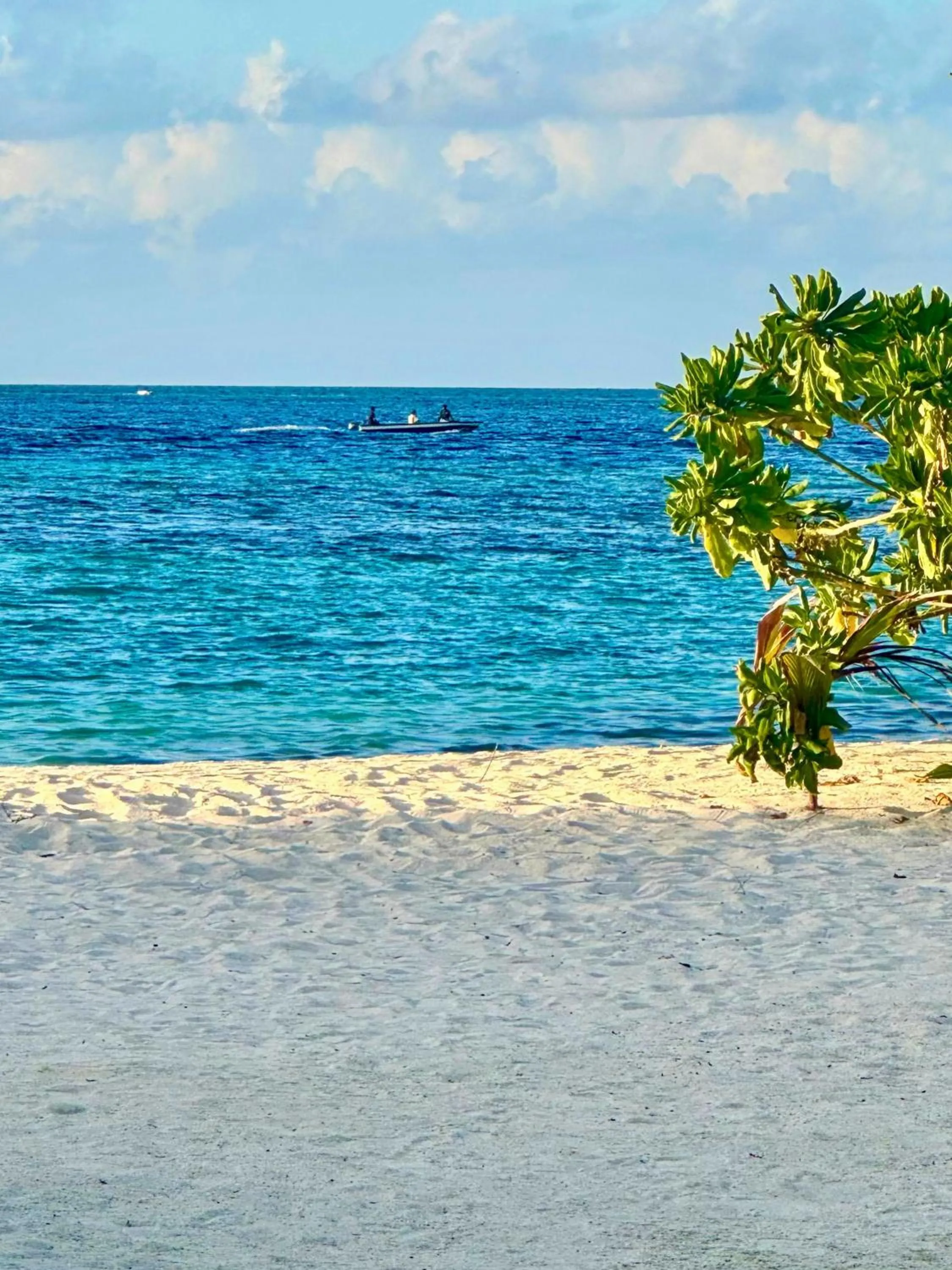 Beach in Noah Private Beach House