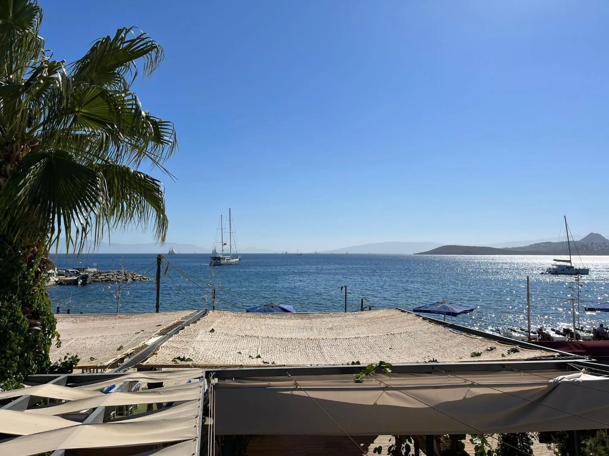 Restaurant/places to eat in Naz Liman Otel Bodrum