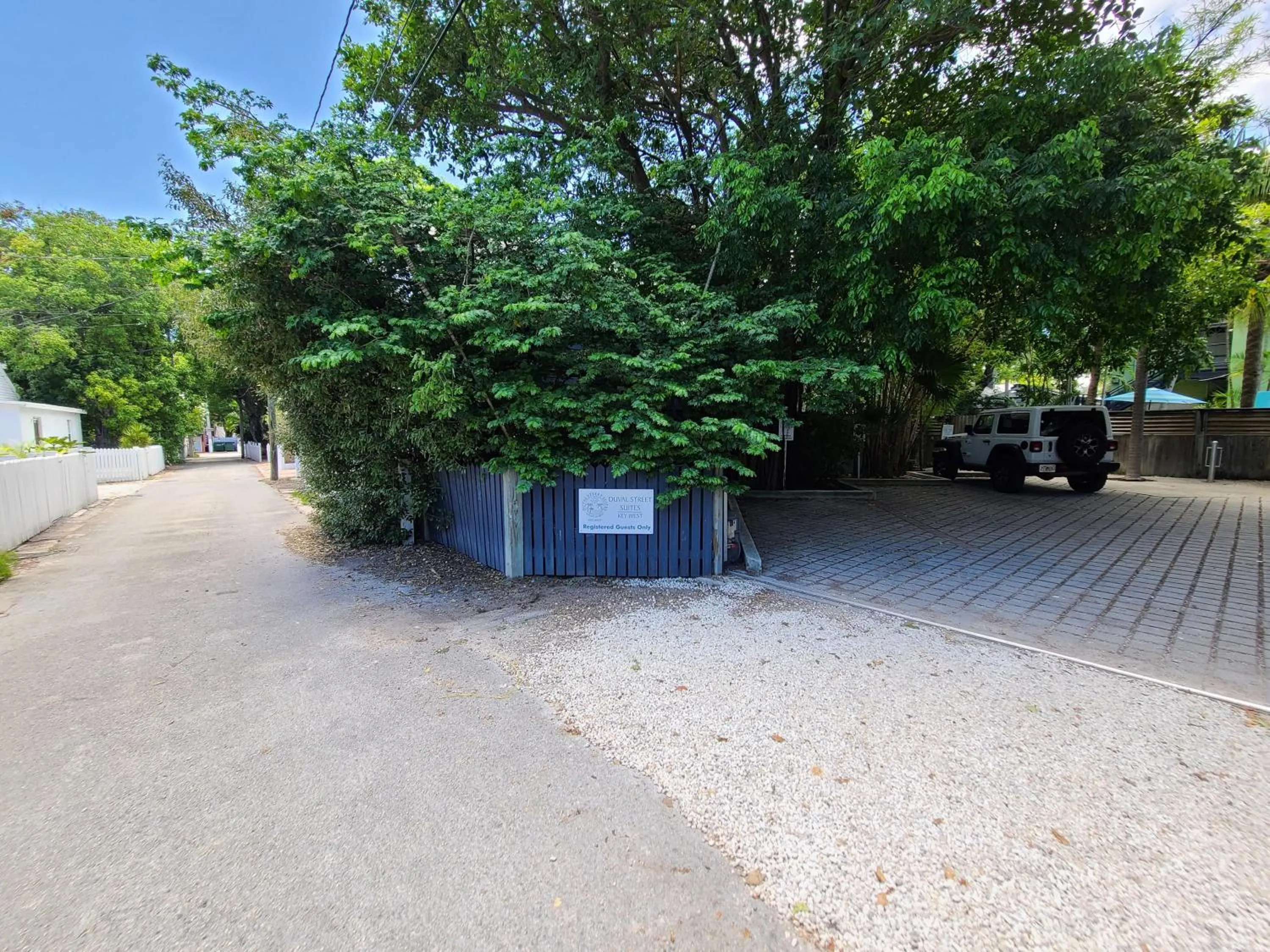 Natural landscape in Duval Street Suite overlooking Duval with parking and pool