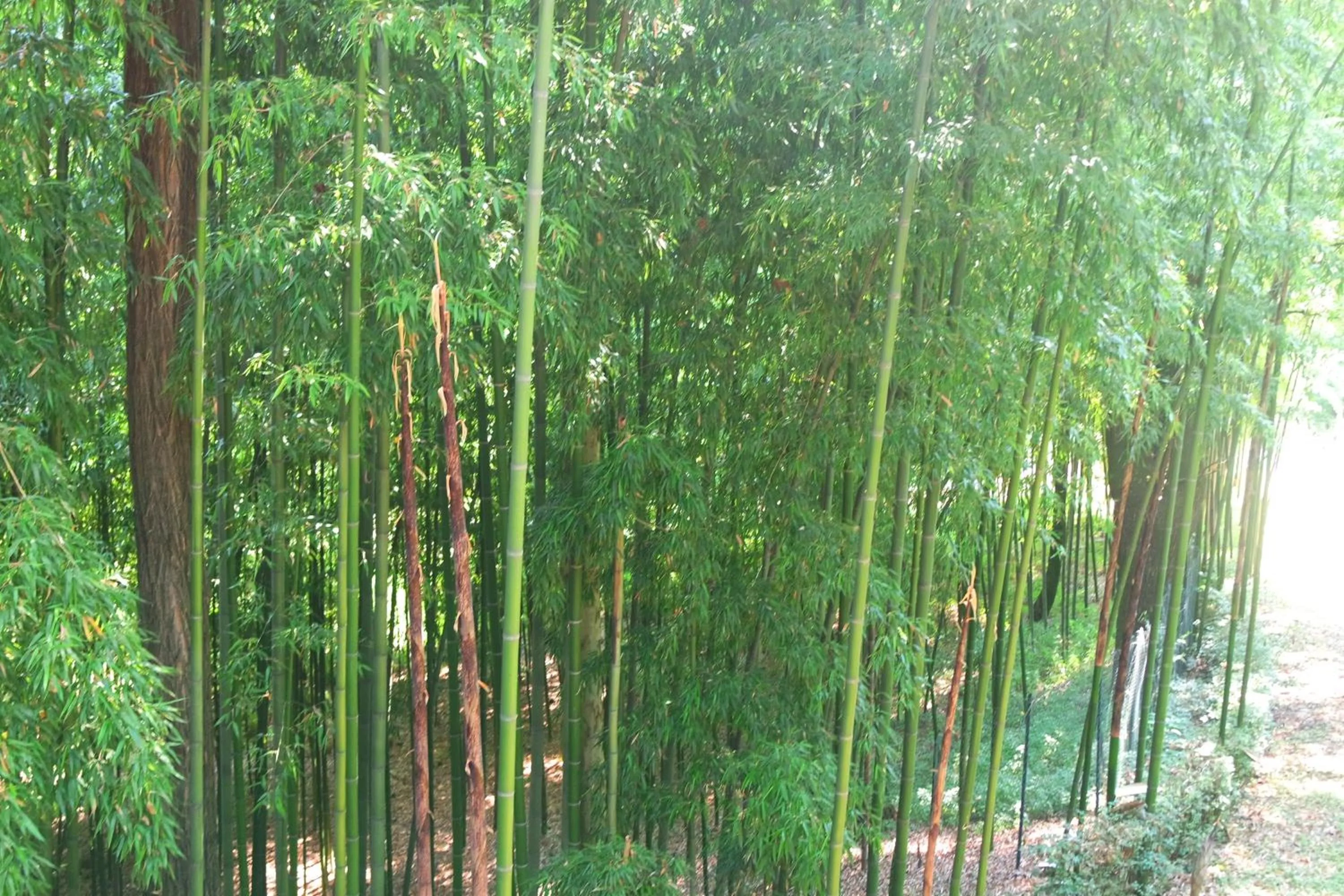 Activities in Country Hotel Castelbarco