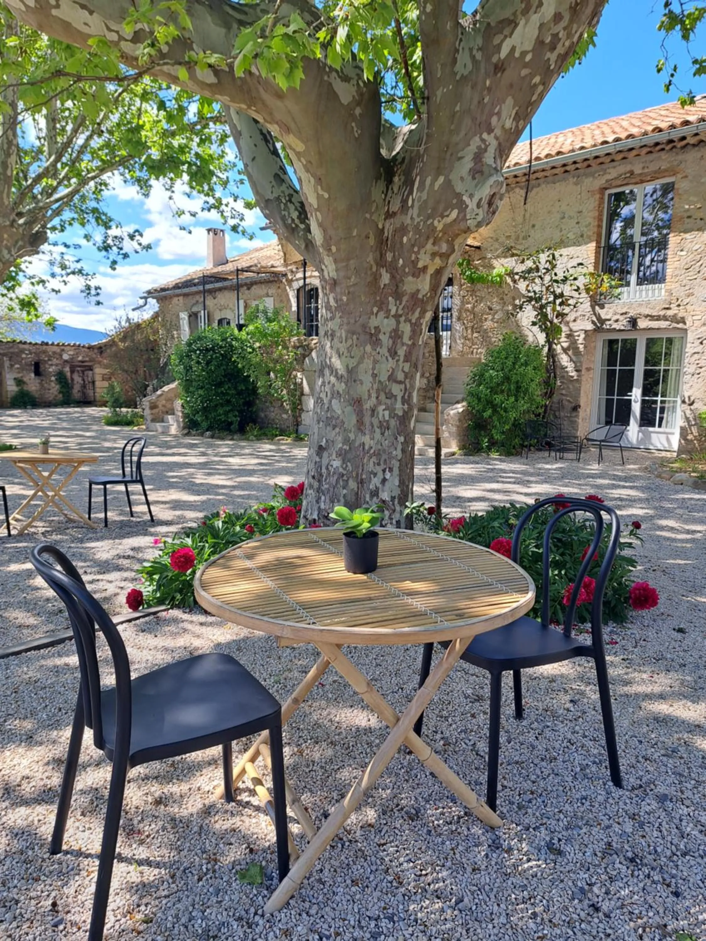 Hôtel Le Cottage de Sophie