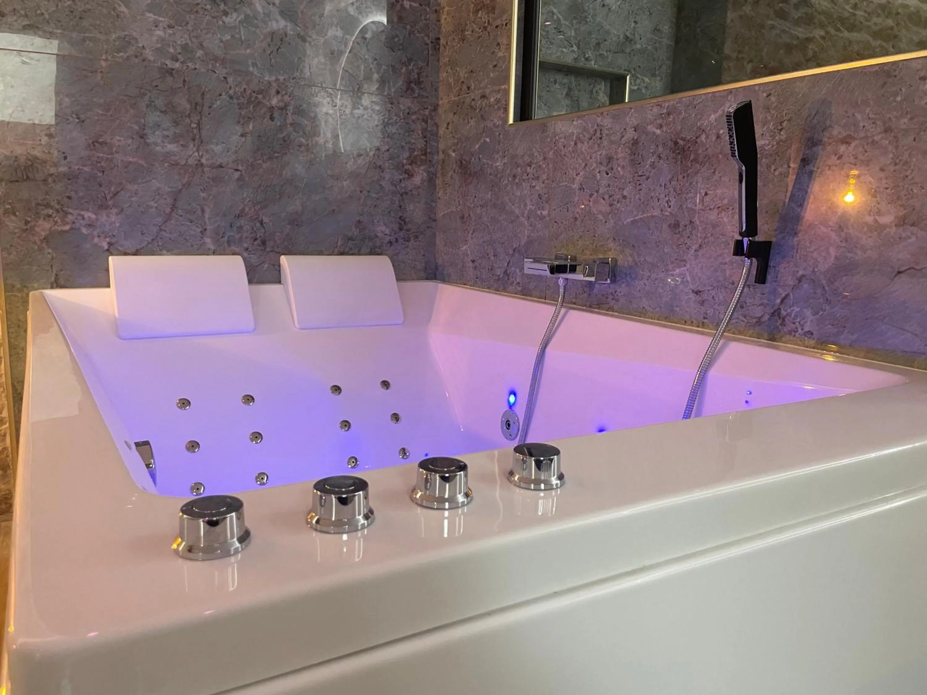 Les Jardins Secrets - Gare & Centre by Apparts Spa Dijon