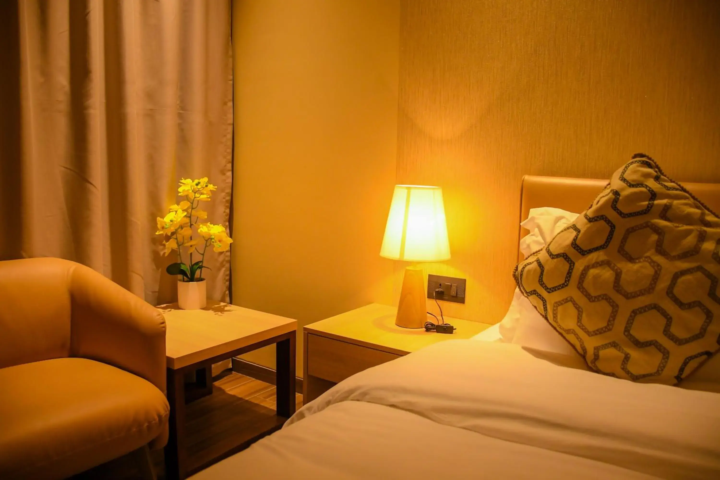 Standard Room - single occupancy in AQUA INN Hotel Standard Room - single occupancy in AQUA INN Hotel