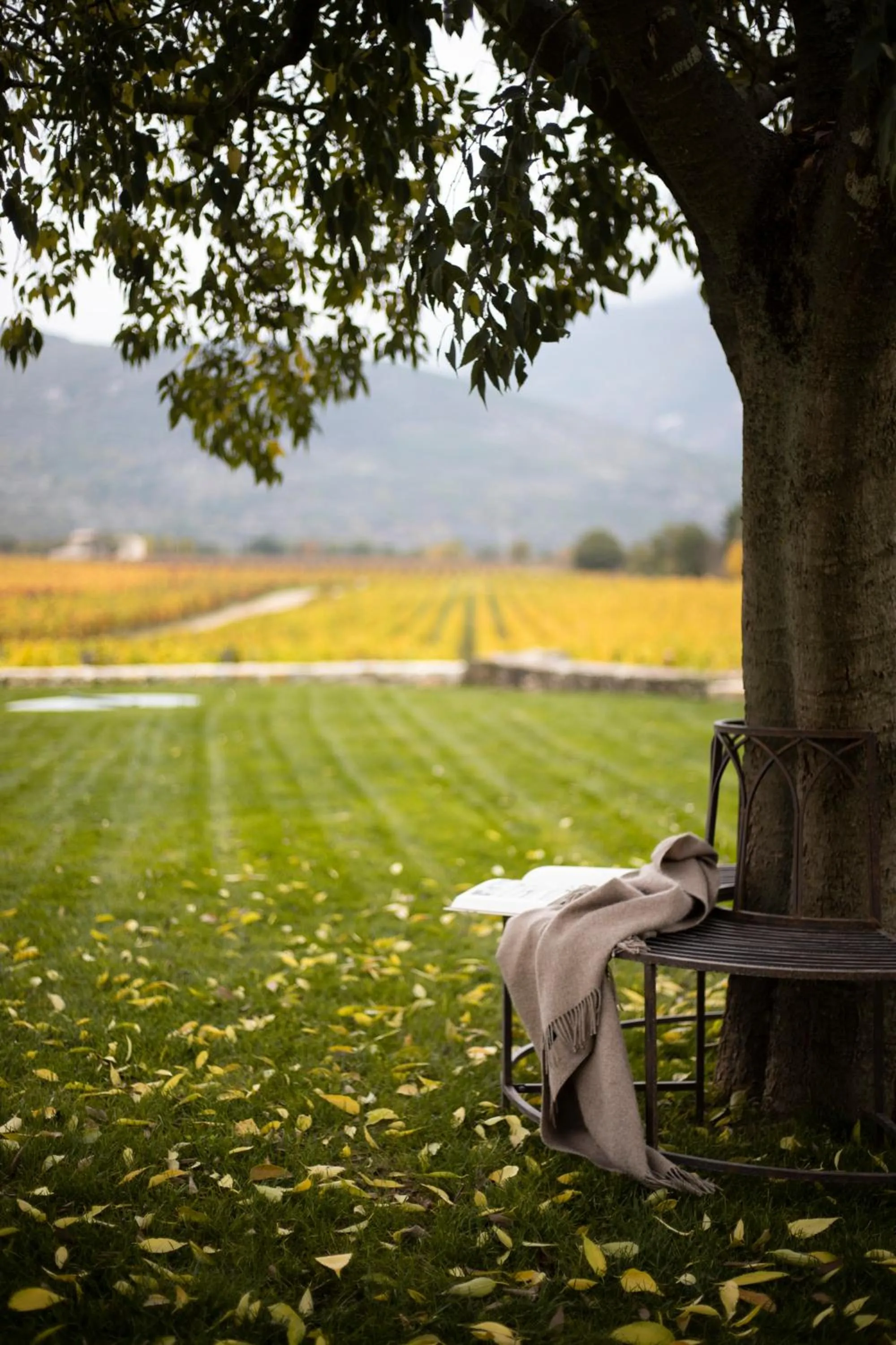 San Calisto camere con vigna