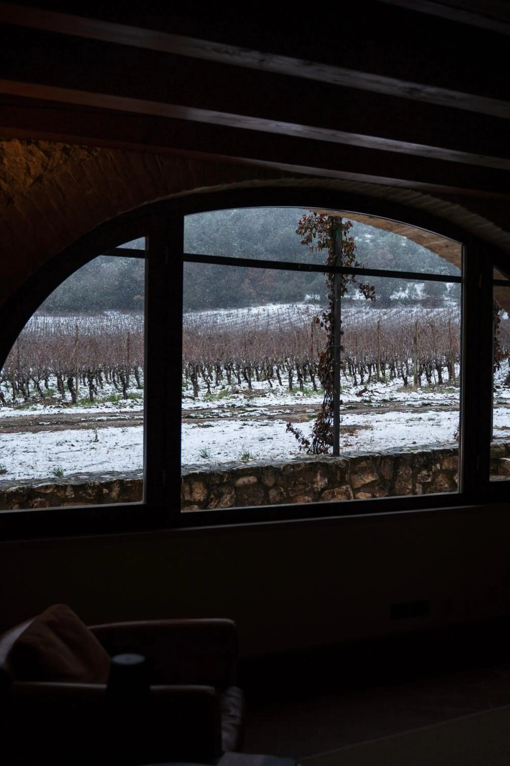 San Calisto camere con vigna