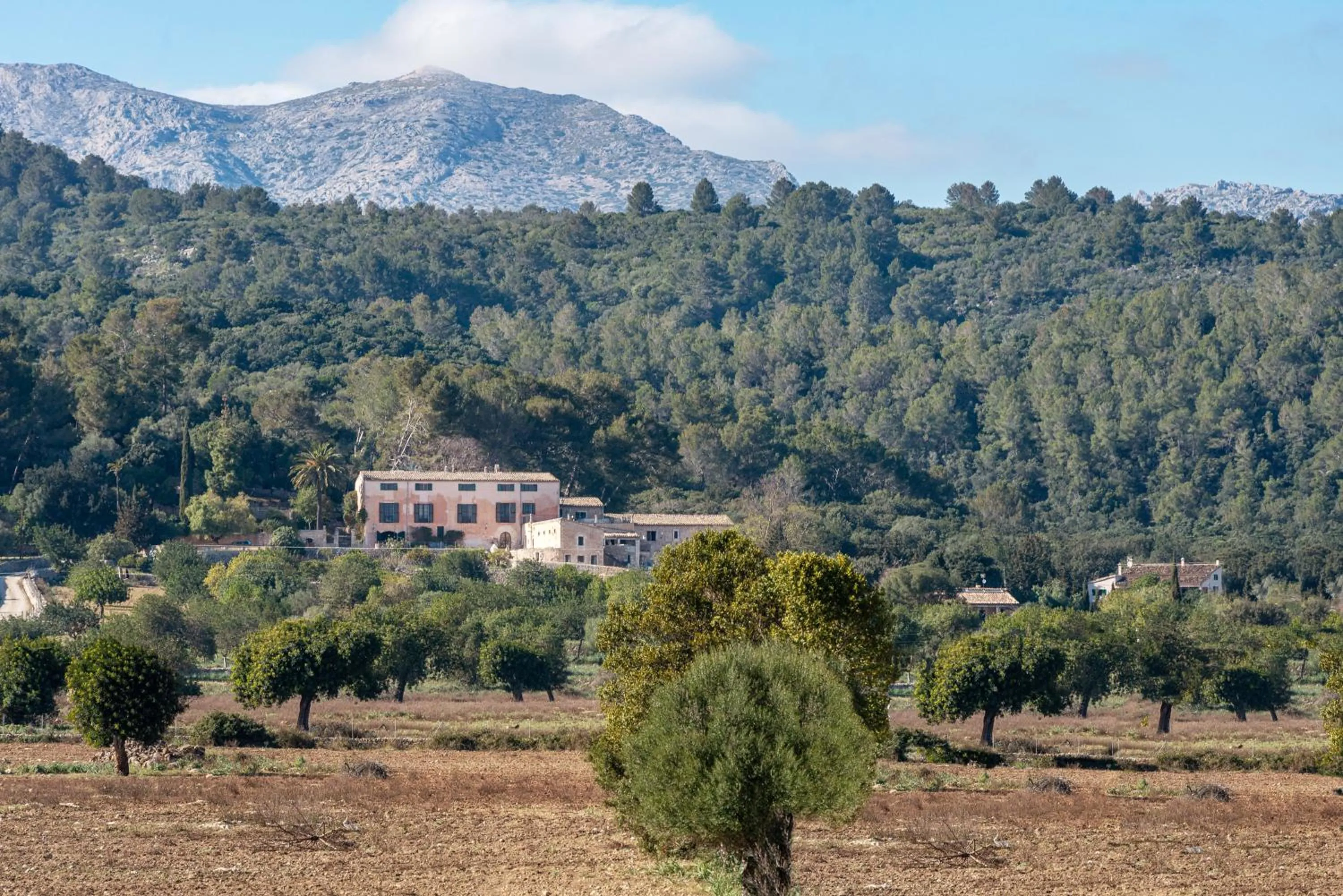 Finca Son Cladera