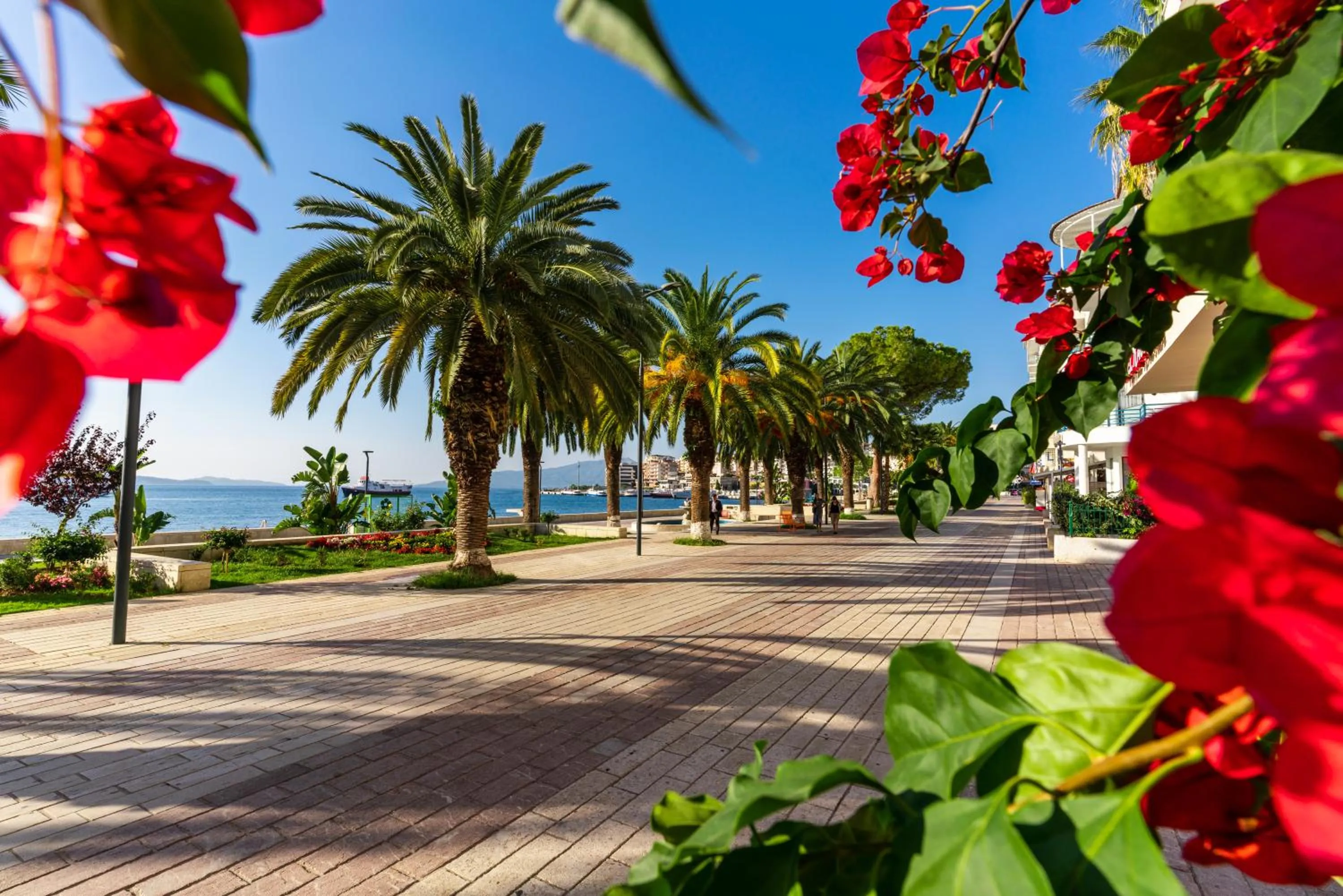 Spring in Blissful Apartments