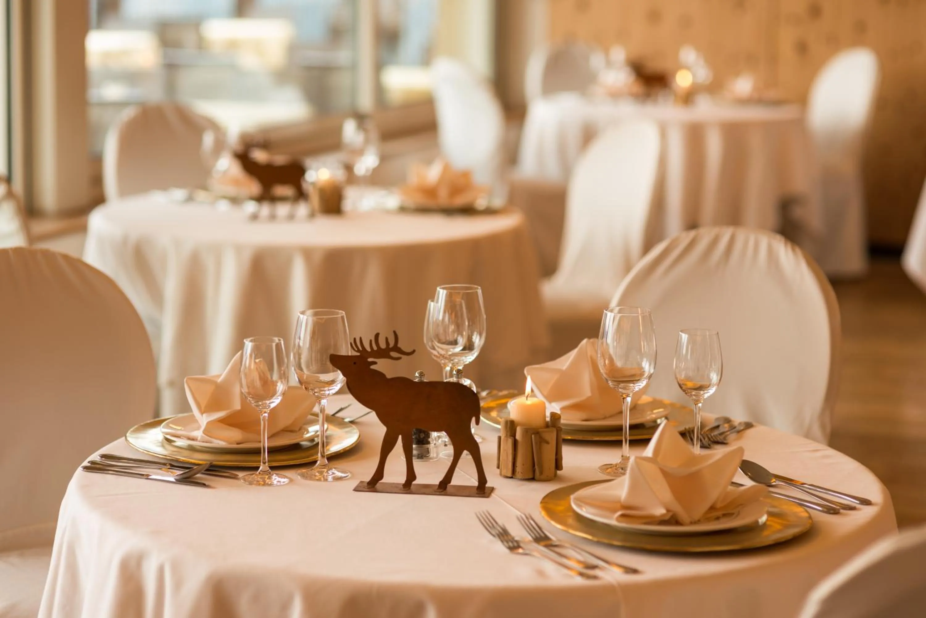 Restaurant/places to eat in Hotel Emmy - five elements