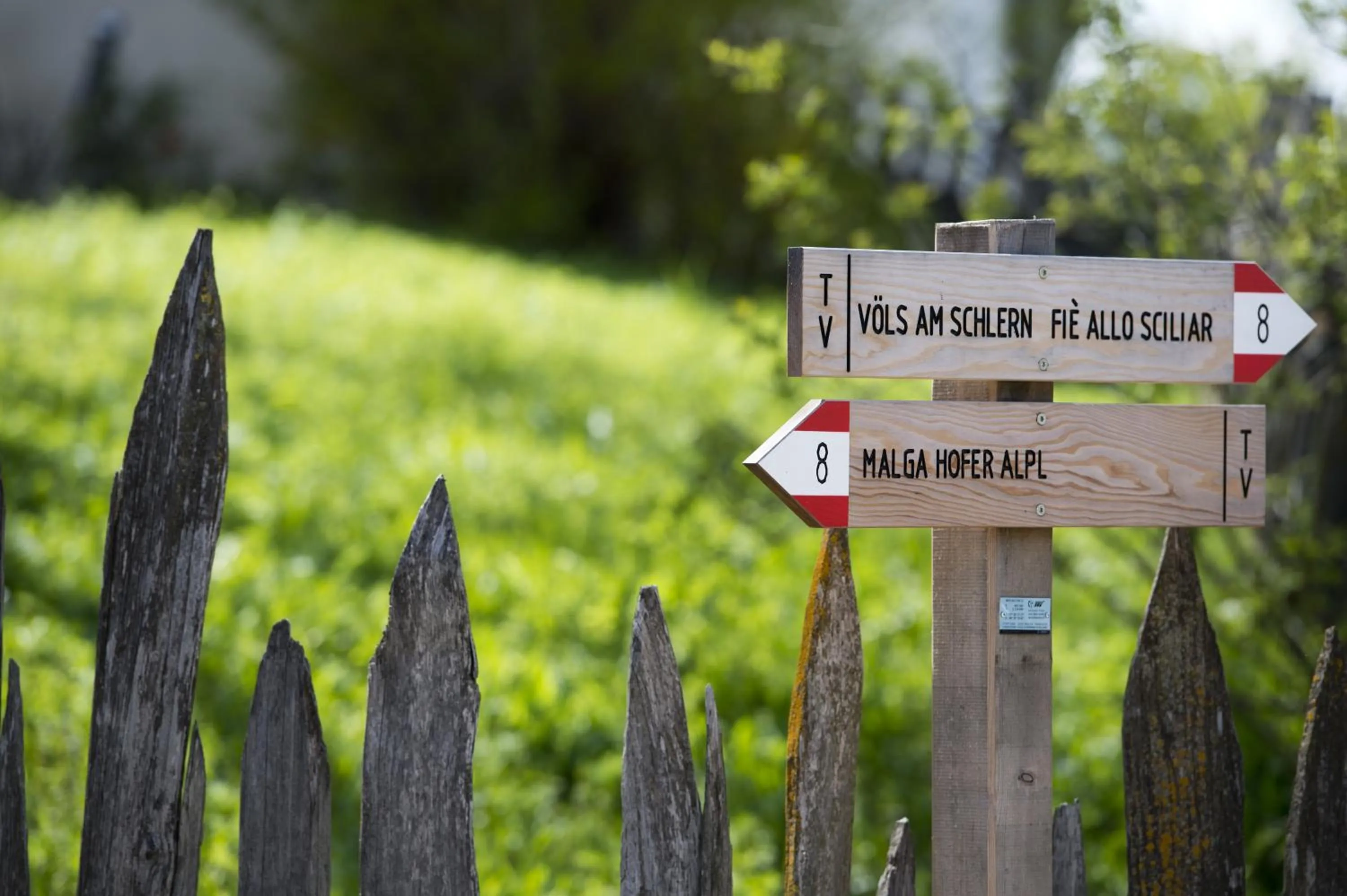 Natural landscape in Hotel Emmy - five elements