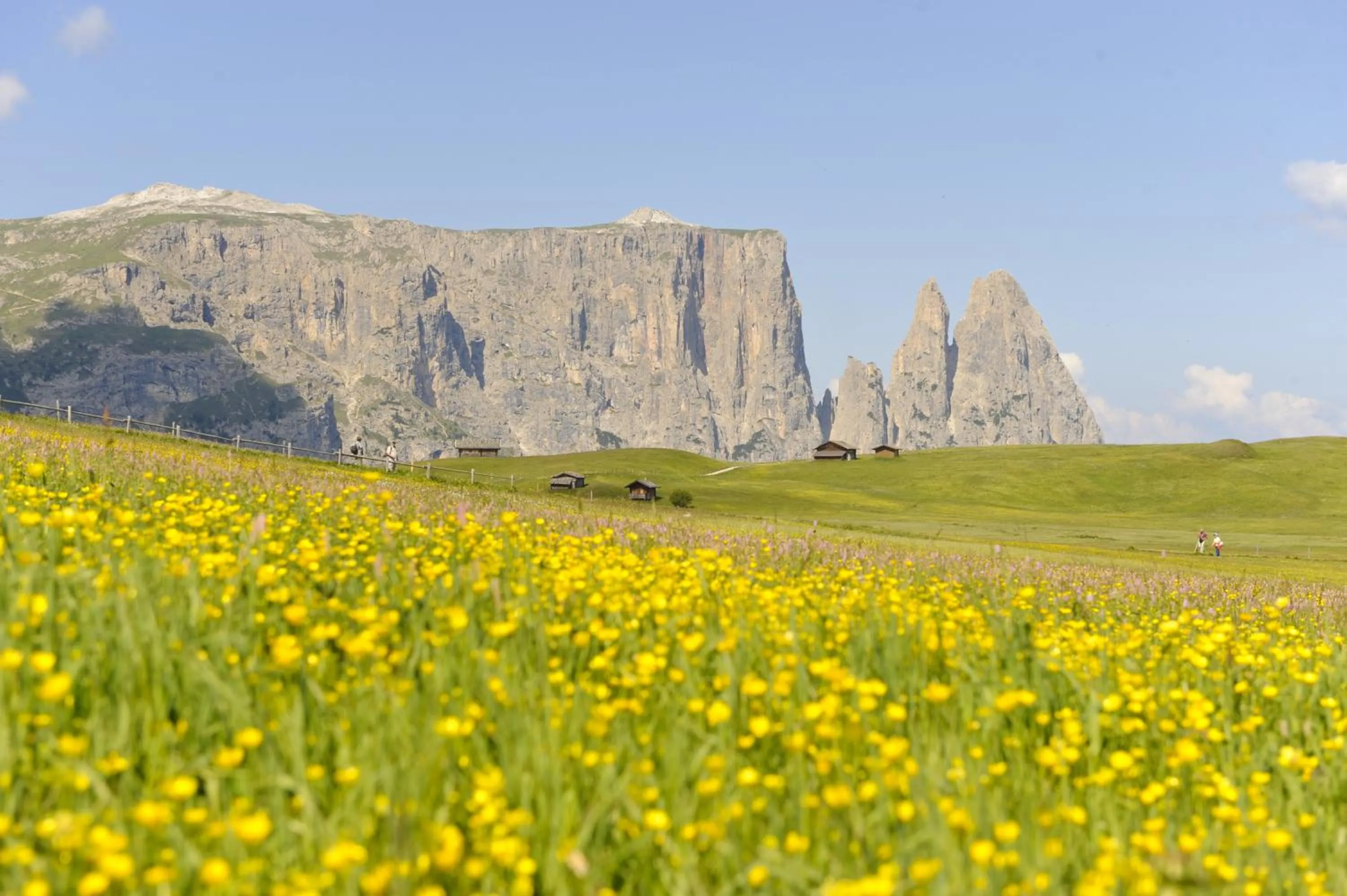 Spring in Hotel Emmy - five elements