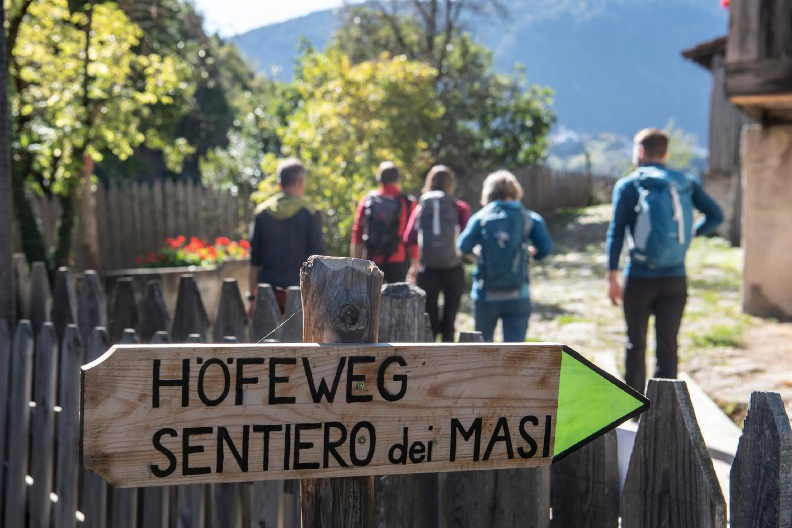 Hiking in Hotel Emmy - five elements