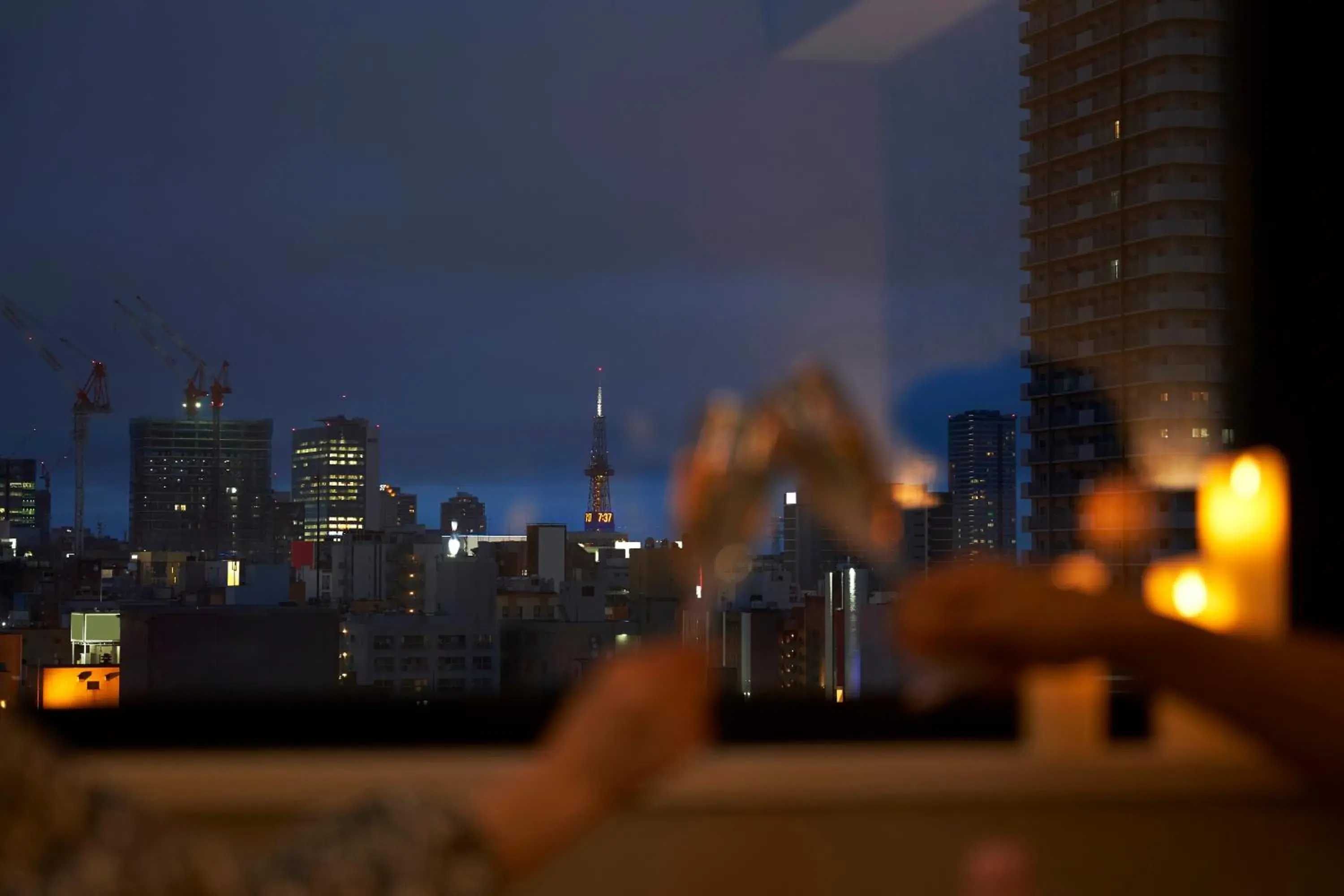 City view in Daiwa Roynet Hotel Sapporo Nakajima Koen City view in Daiwa Roynet Hotel Sapporo Nakajima Koen