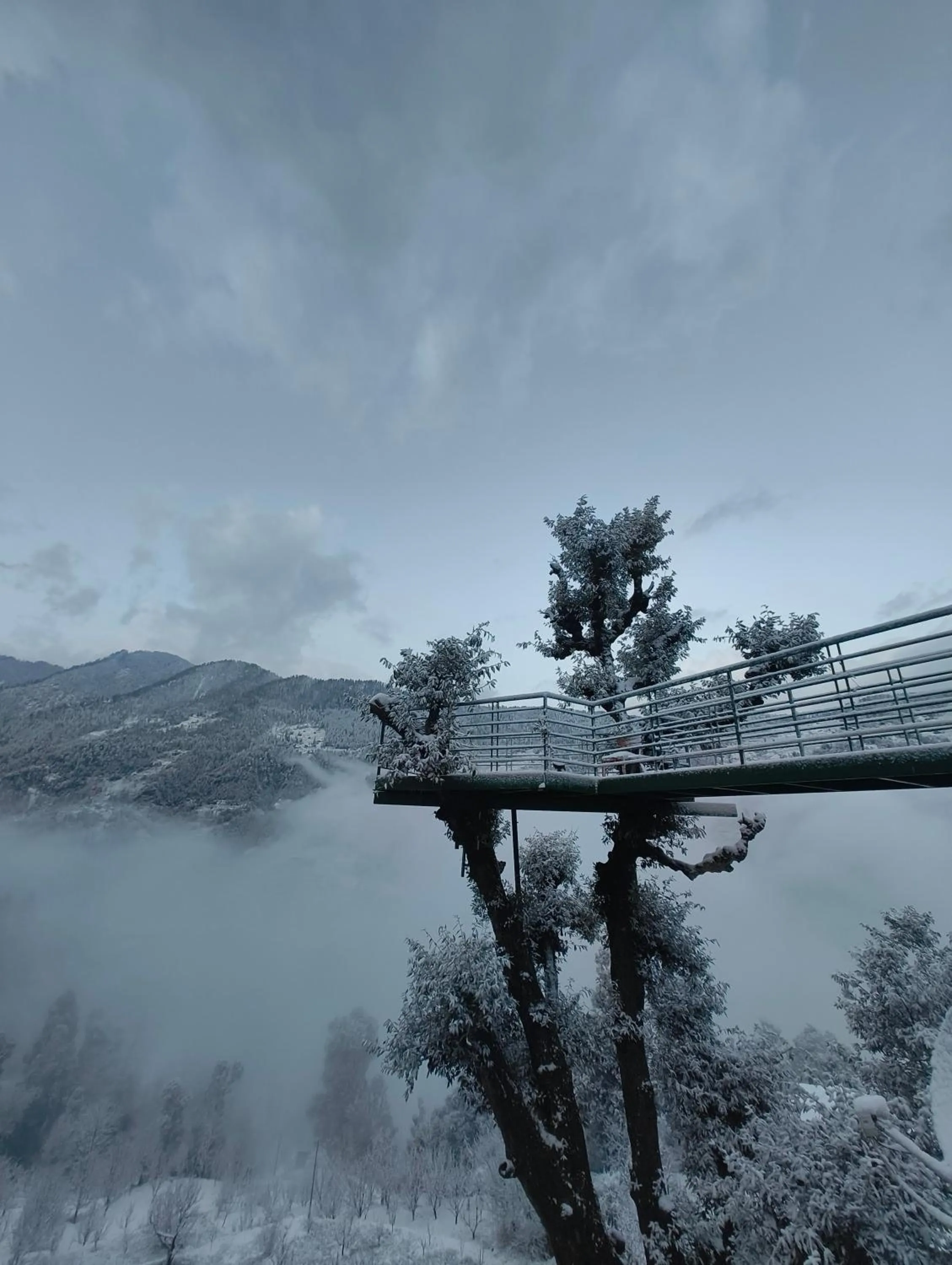 Activities in MOZO Inn&Cafe Jibhi