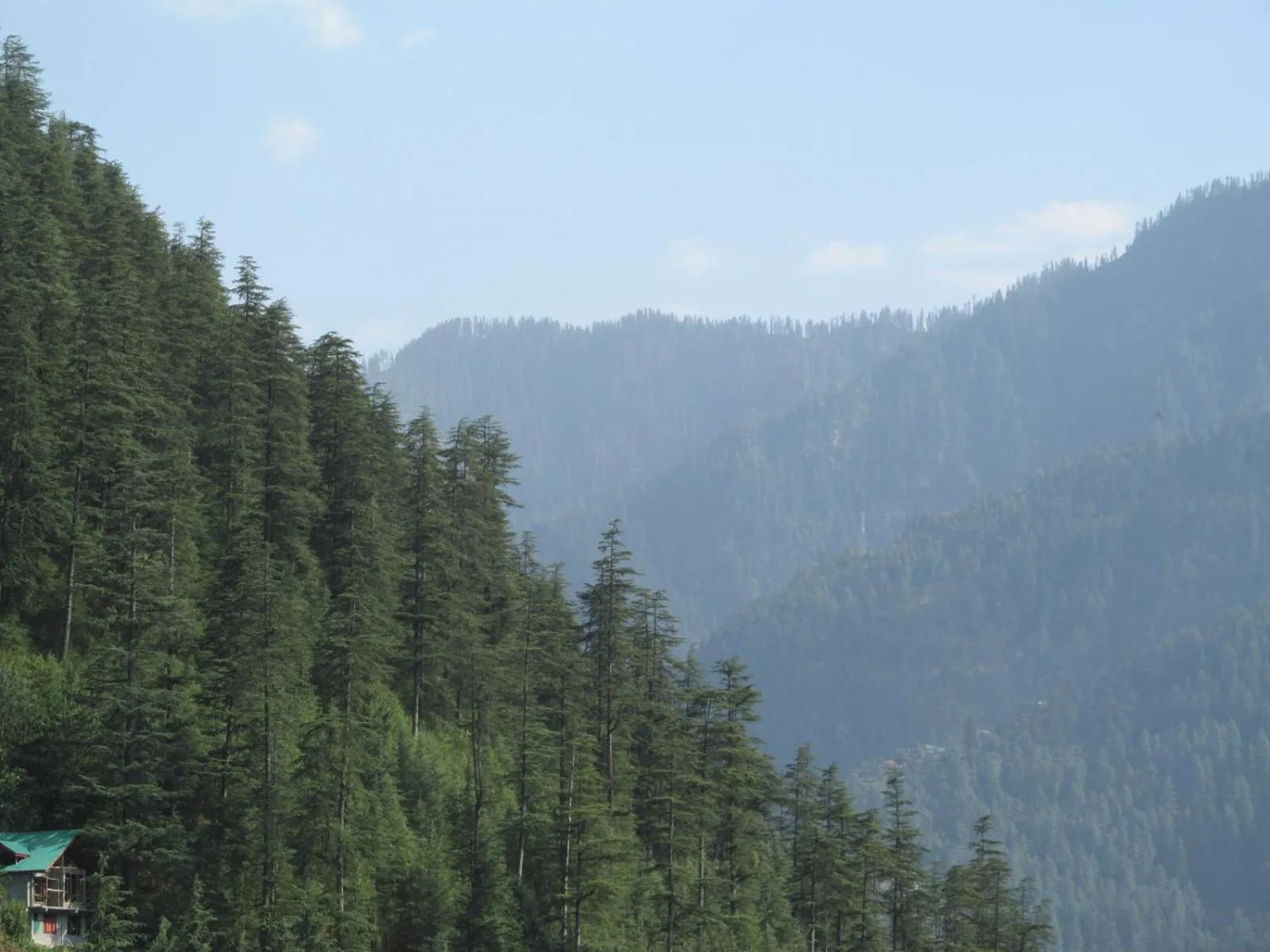 Natural landscape in MOZO Inn&Cafe Jibhi