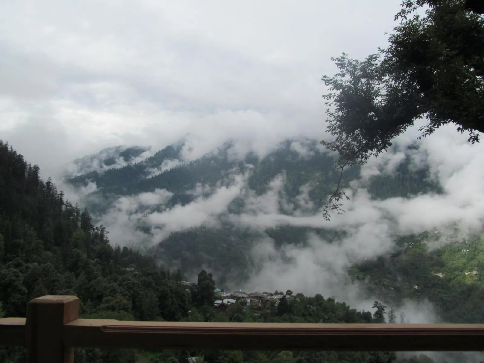 Natural landscape in MOZO Inn&Cafe Jibhi