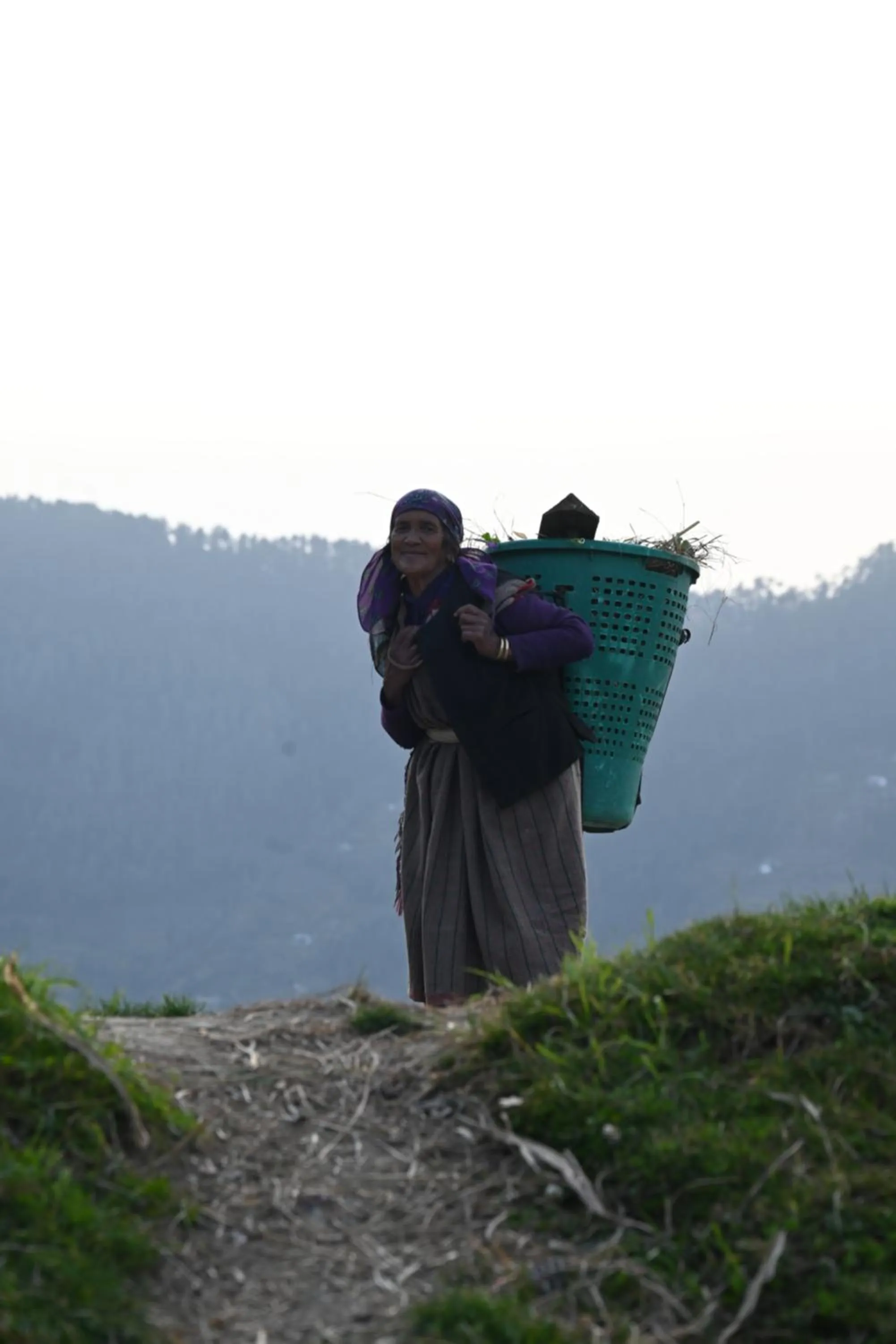 Day in MOZO Inn&Cafe Jibhi