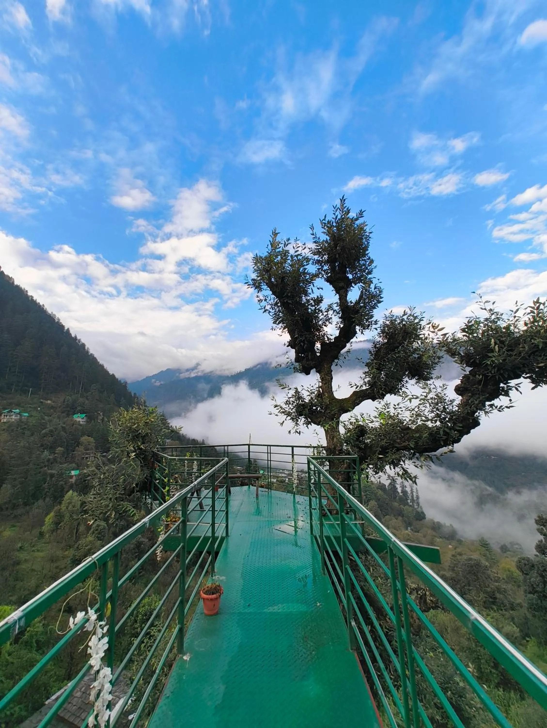 Activities in MOZO Inn&Cafe Jibhi