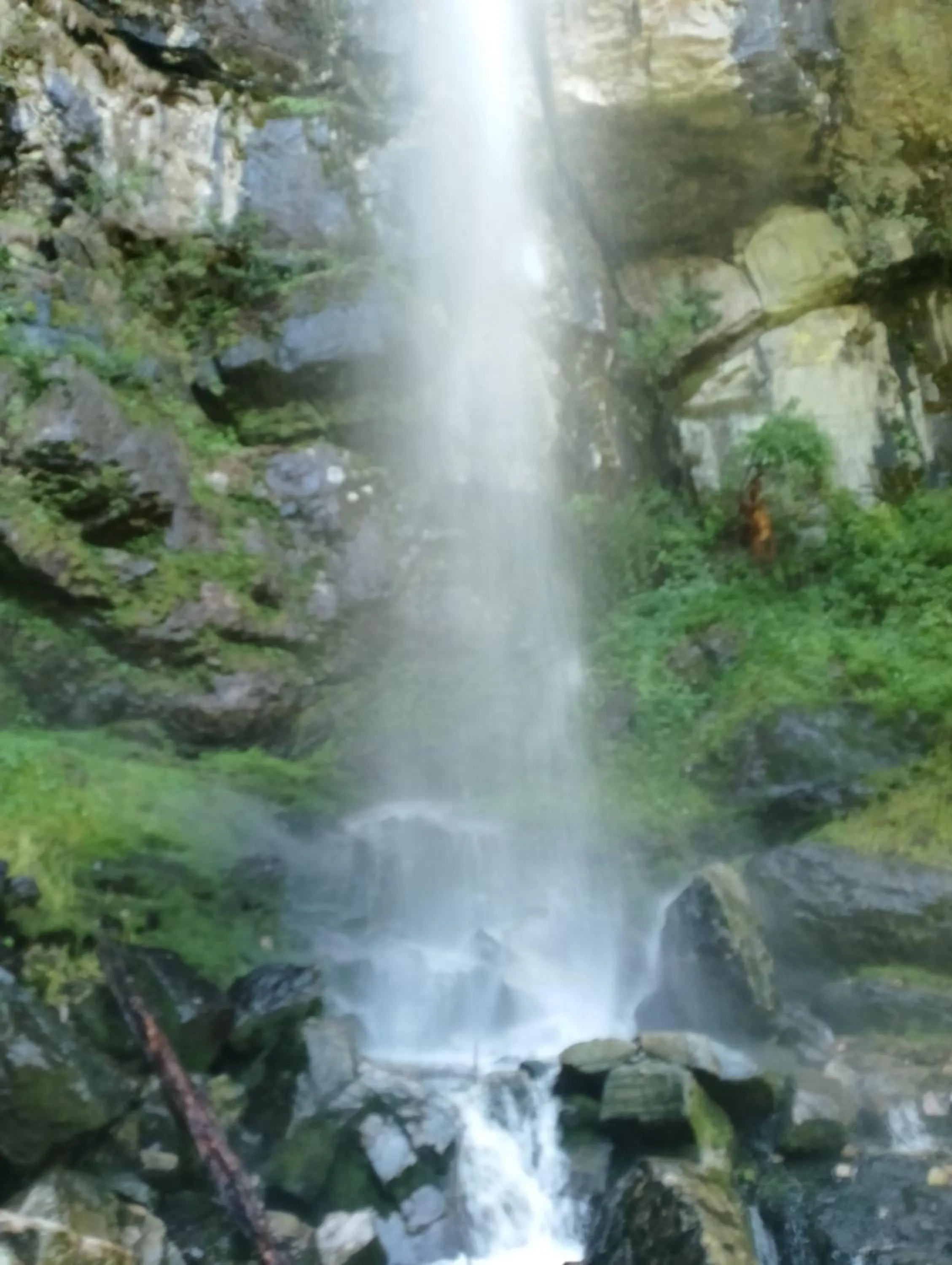 Natural landscape in MOZO Inn&Cafe Jibhi