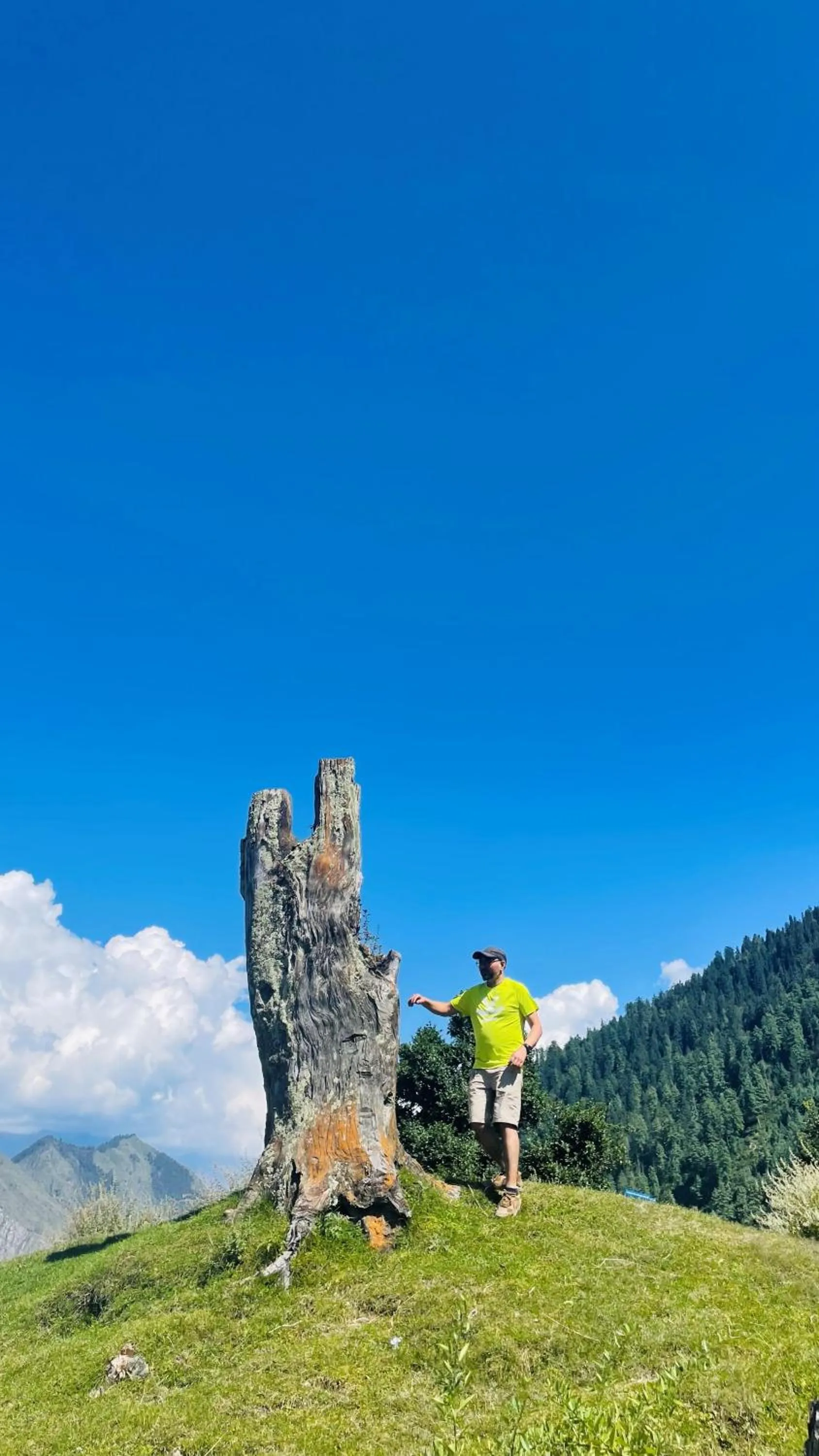 Natural landscape in MOZO Inn&Cafe Jibhi