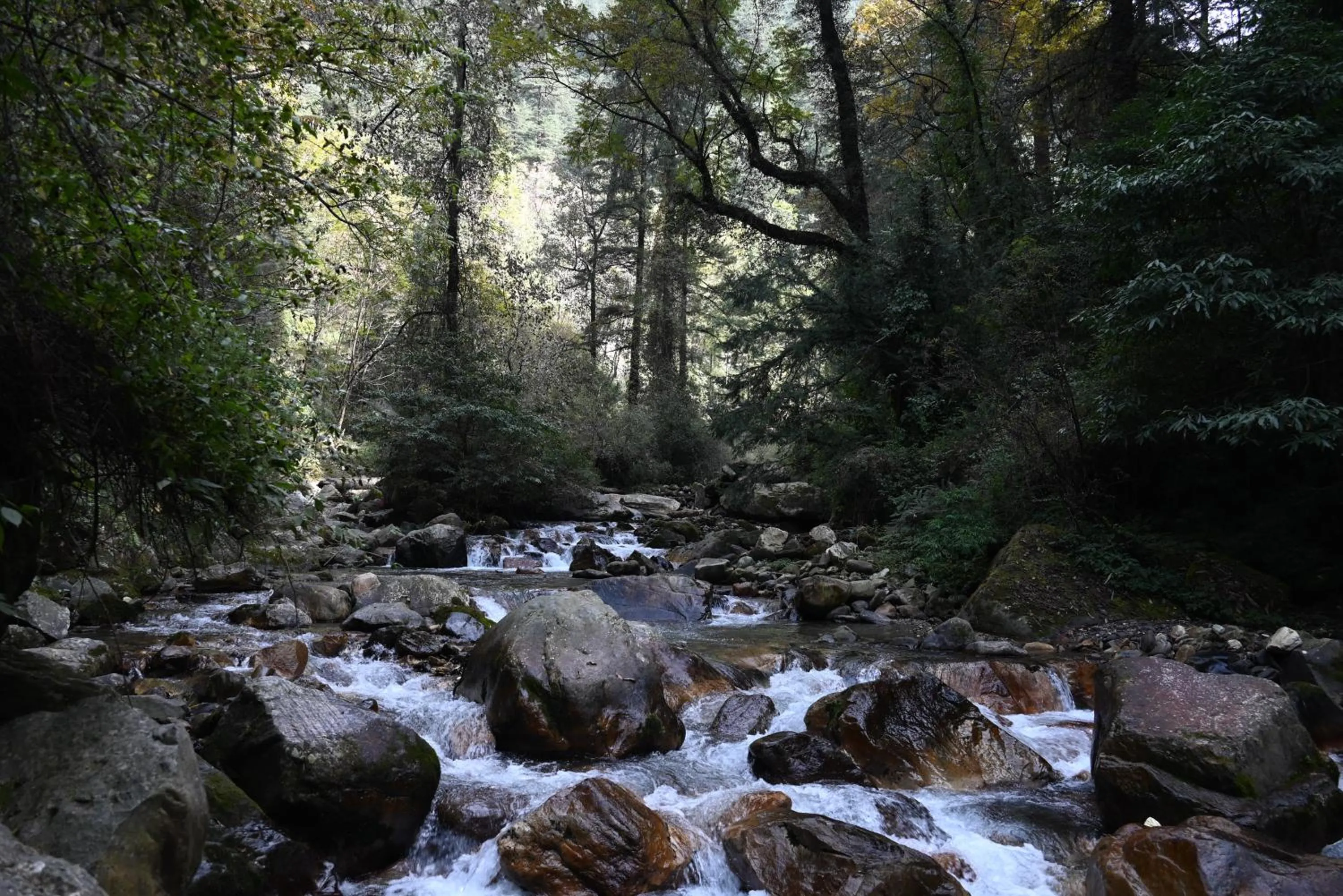 Natural landscape in MOZO Inn&Cafe Jibhi