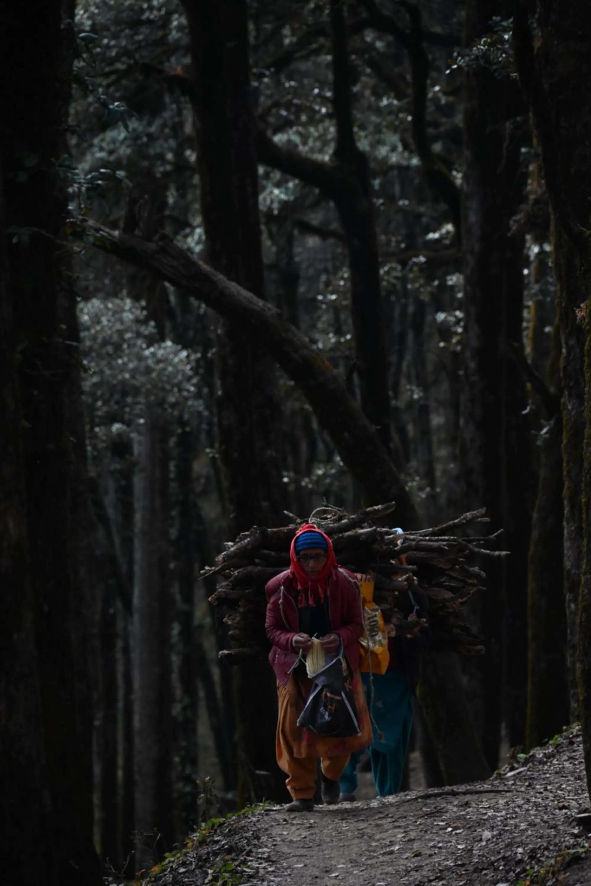 People in MOZO Inn&Cafe Jibhi