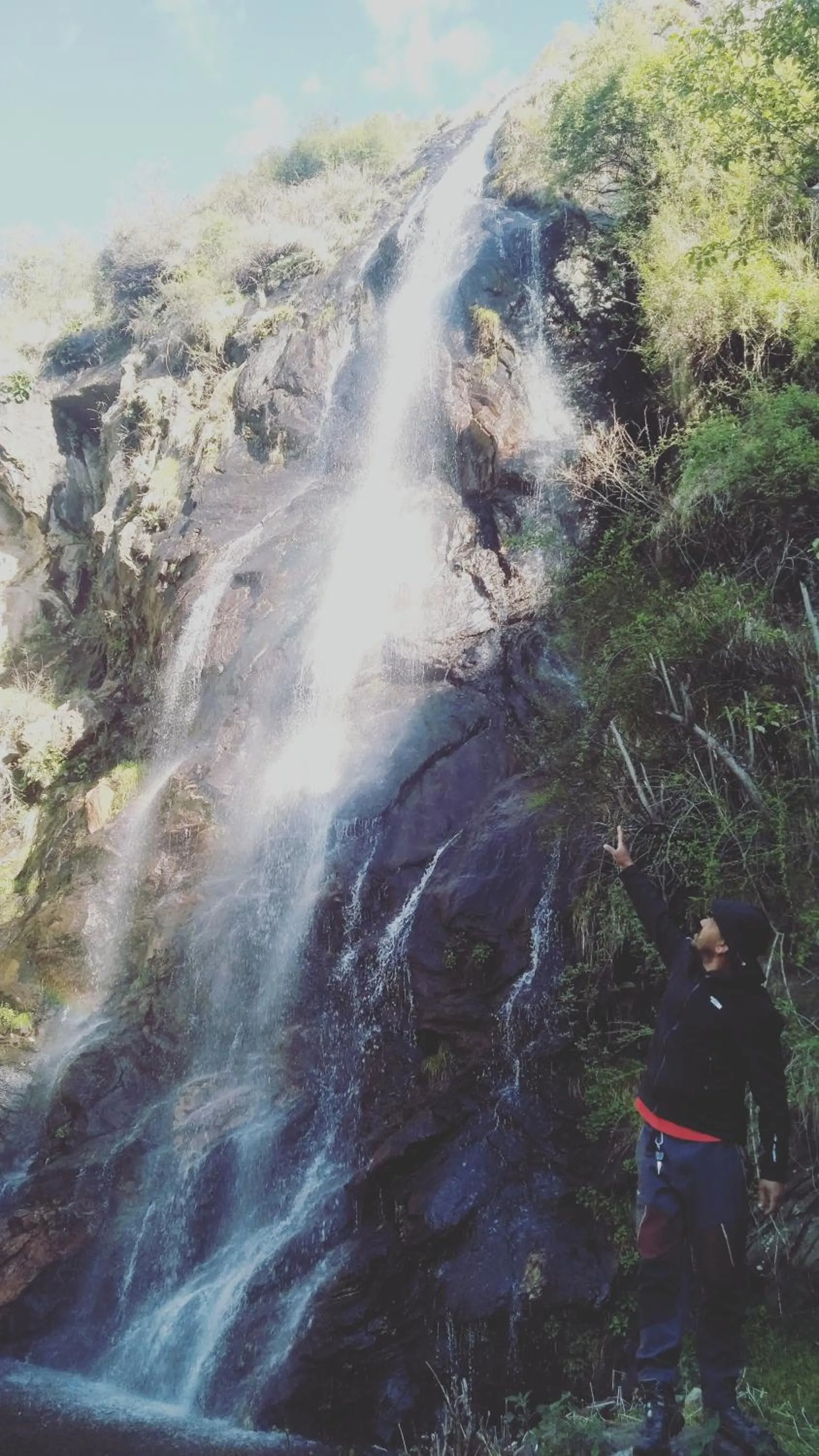 Natural landscape in MOZO Inn&Cafe Jibhi