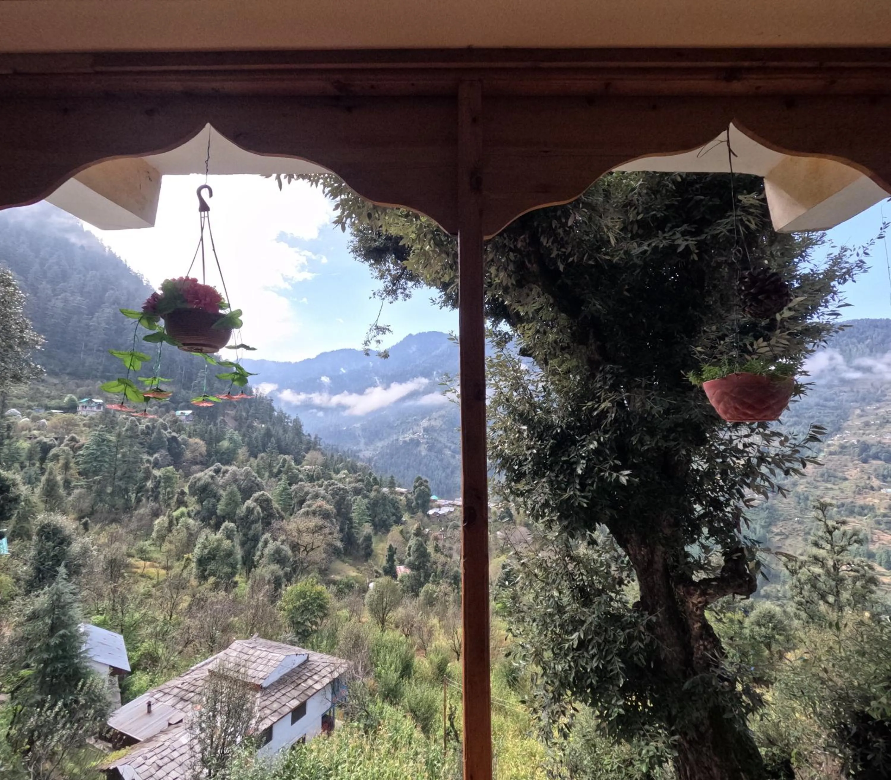 Restaurant/places to eat in MOZO Inn&Cafe Jibhi