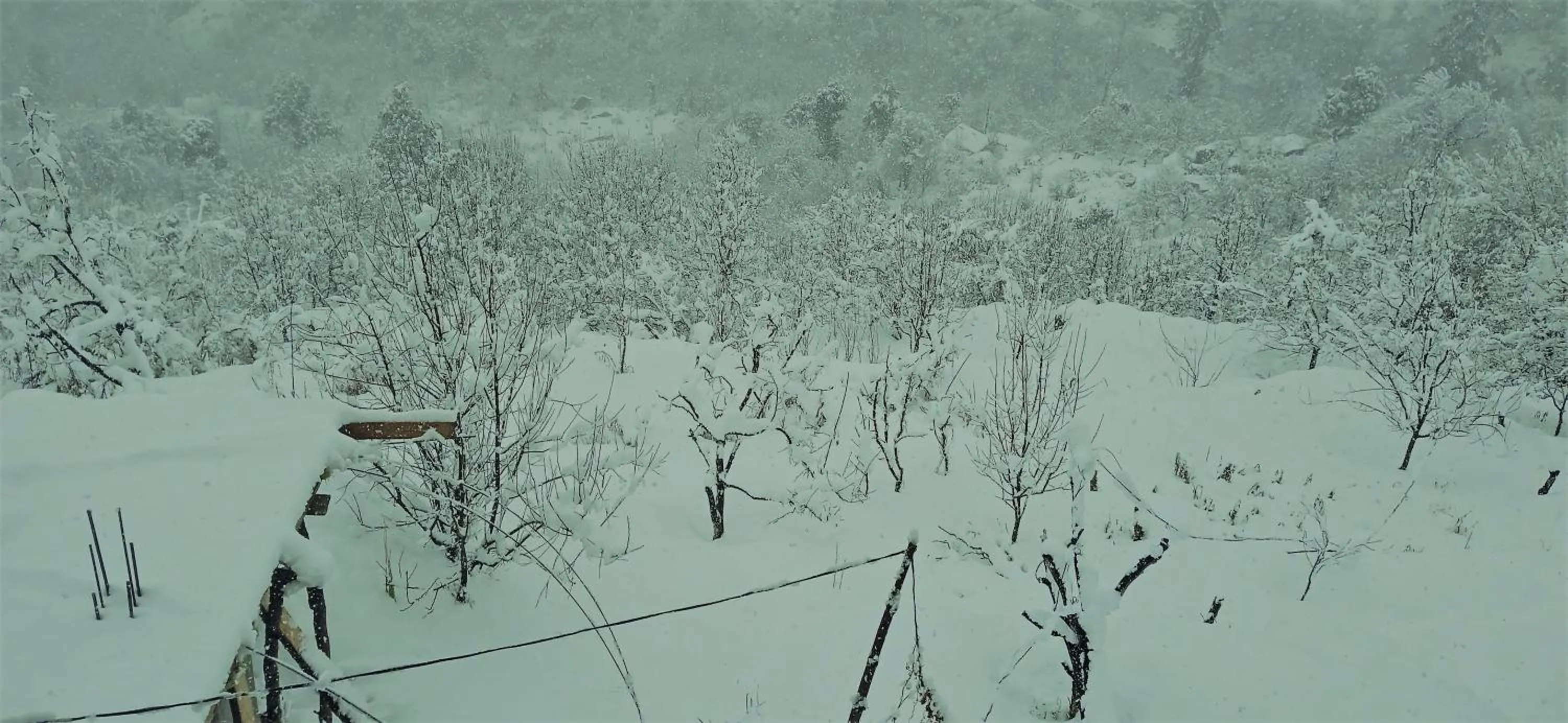 Natural landscape in MOZO Inn&Cafe Jibhi