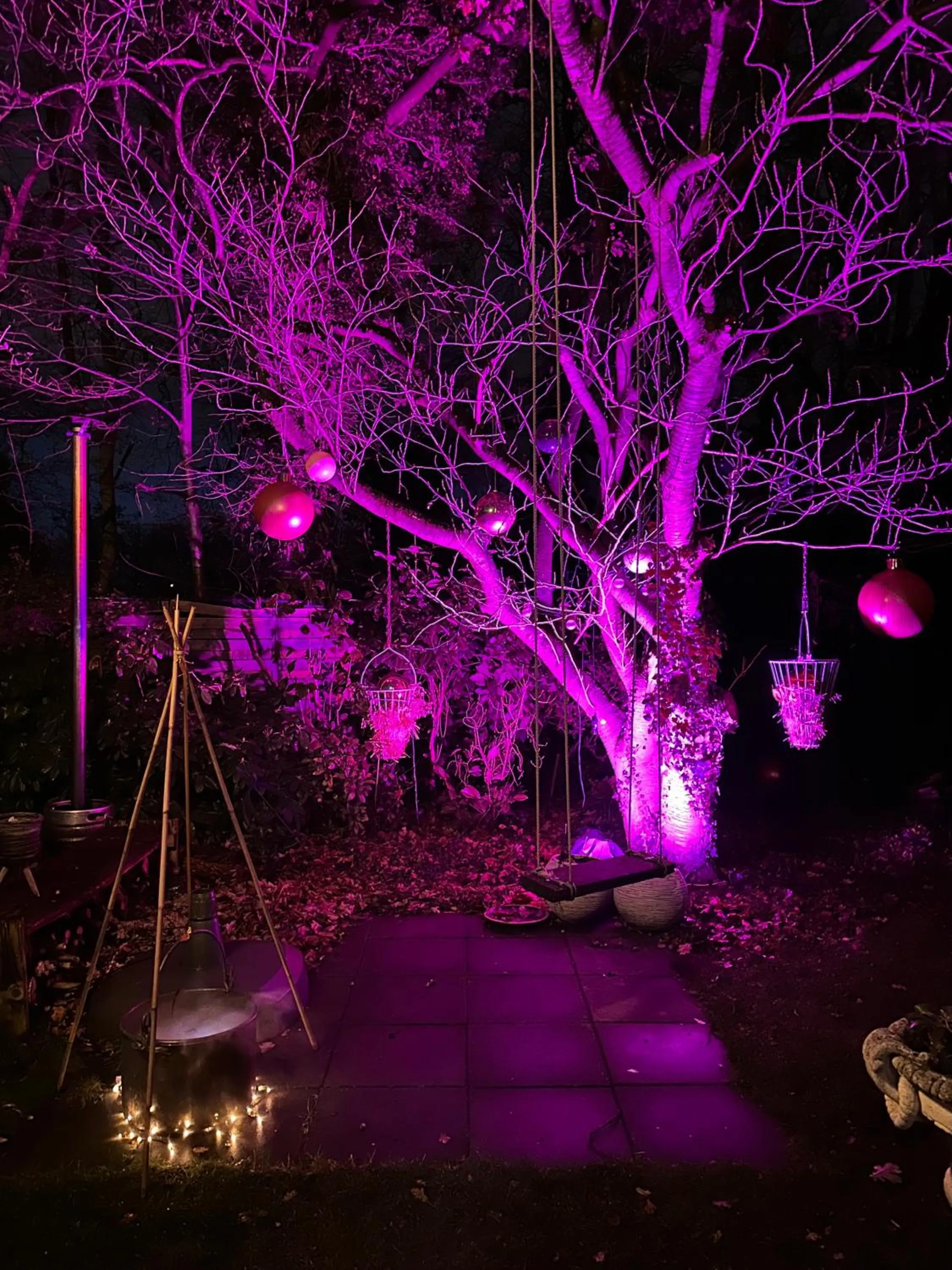 Garden in Pakhuis Bed and Breakfast Unique