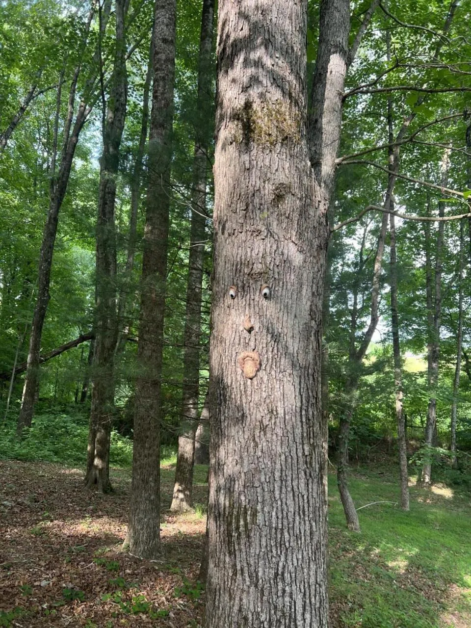 Less than 3 miles to Downtown with firepit