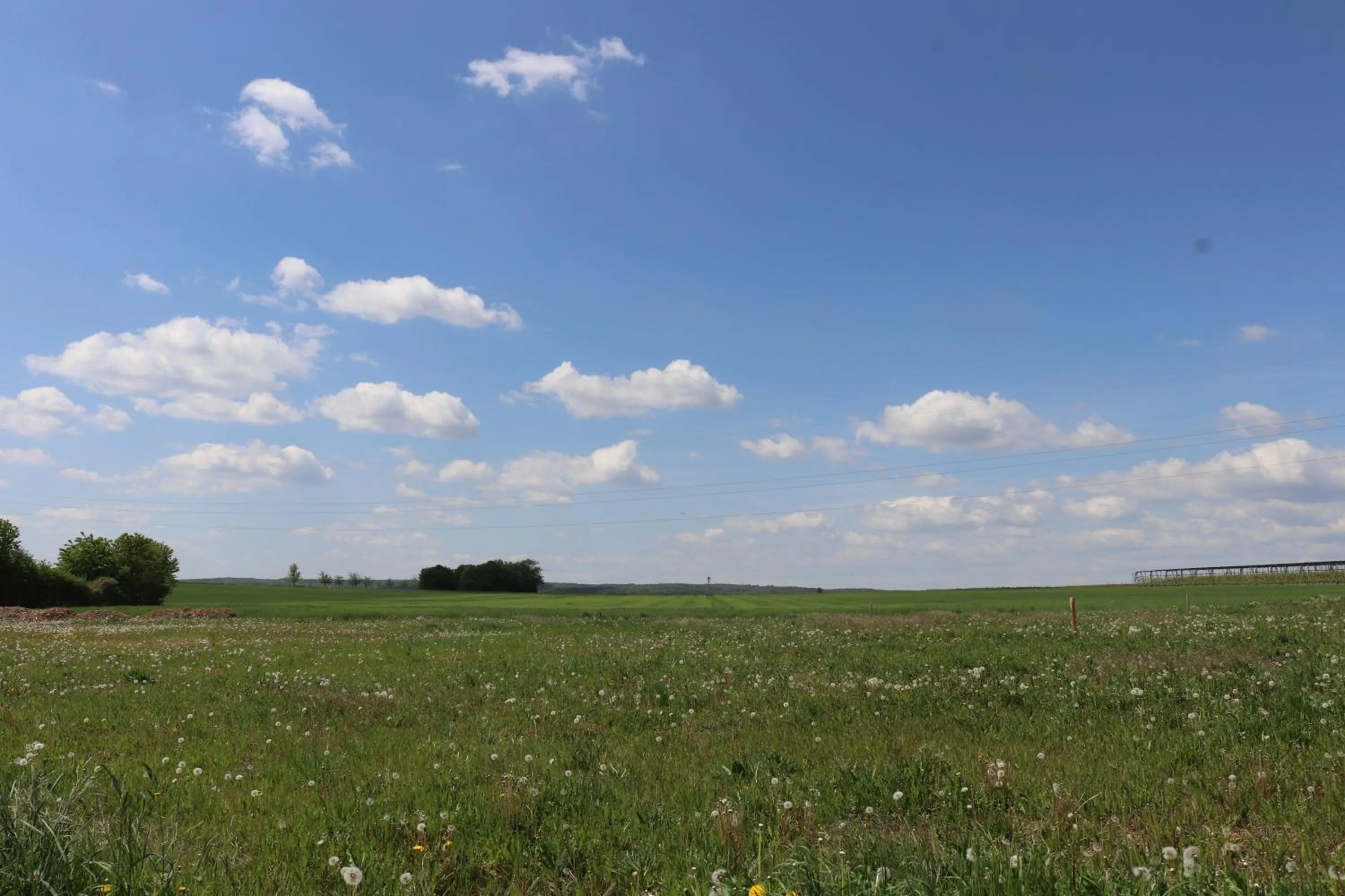 Natural landscape in Motel Bergtheim - Self Check-in