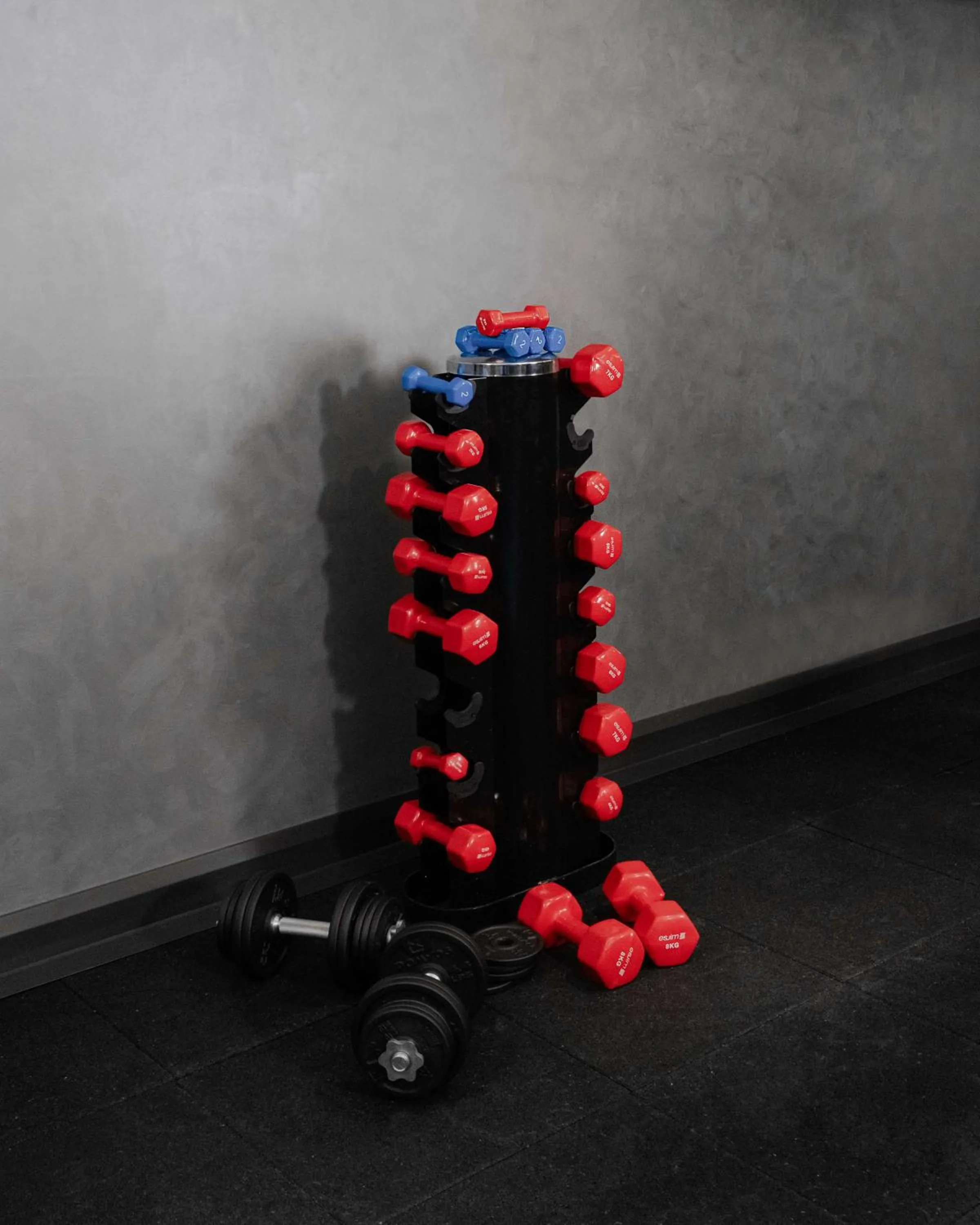 Fitness centre/facilities in Nova Vista Deluxe & Suites a Member of Radisson Individuals