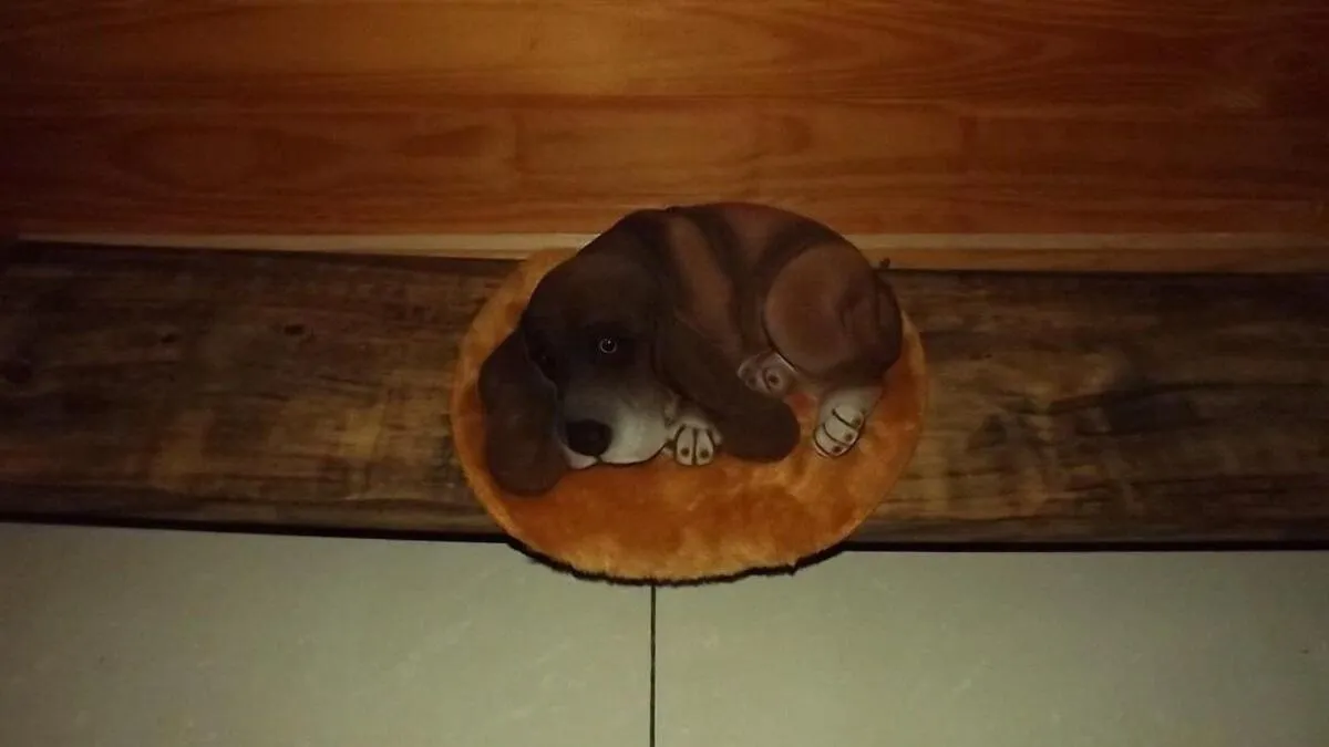 RECANTO DO SINALEIRO GRAMADO