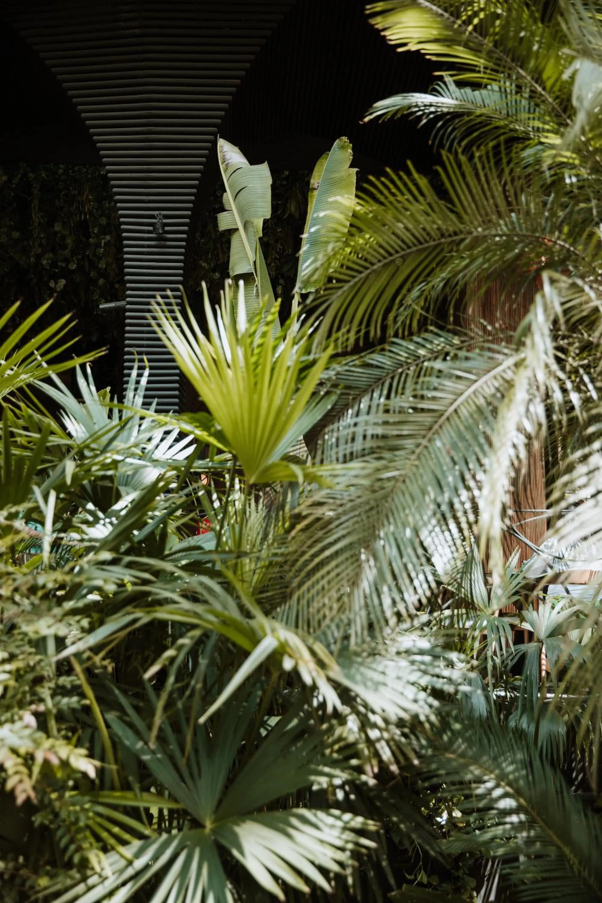 Natural landscape in Selvario 36 Hotel