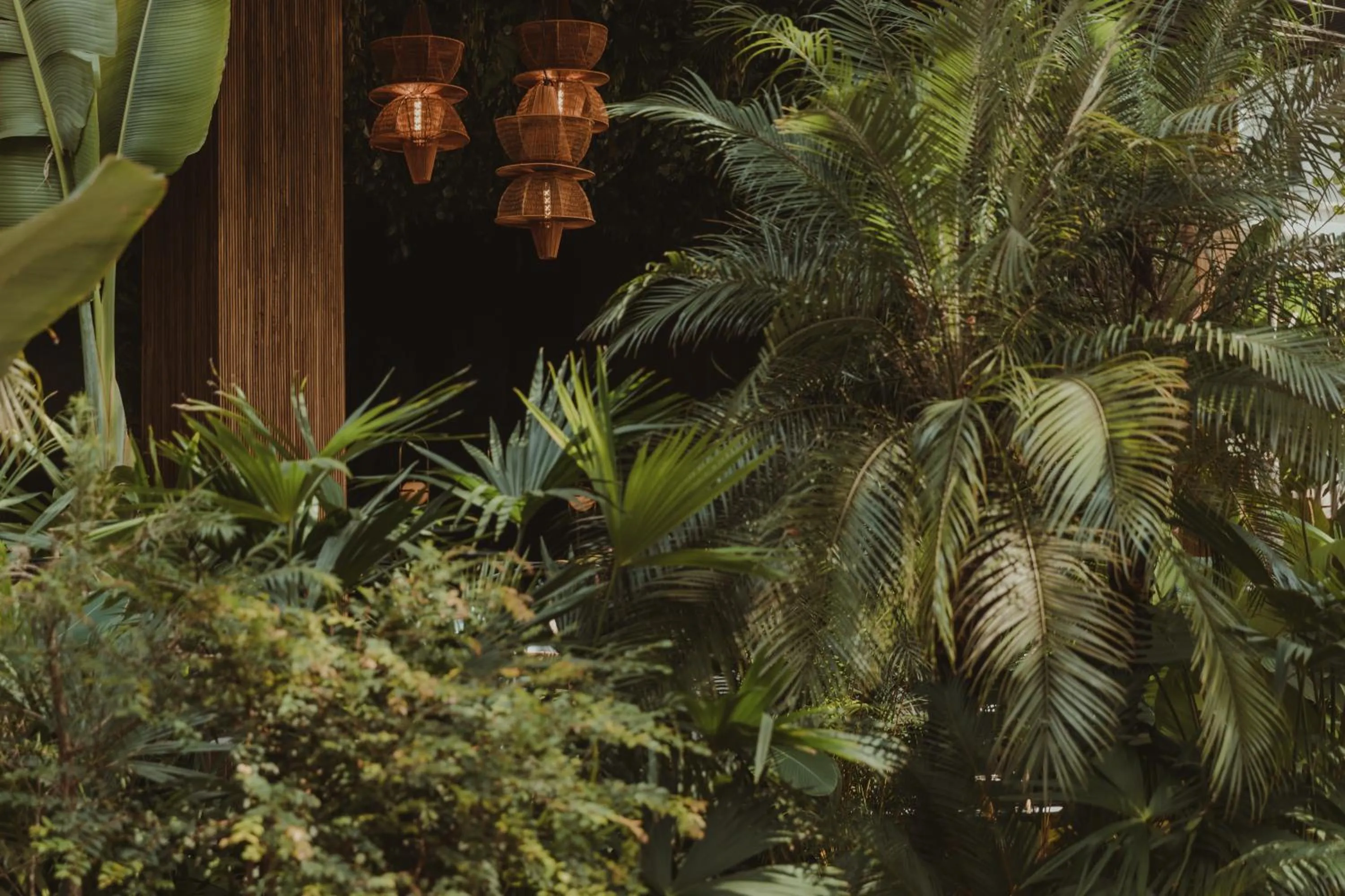 Natural landscape in Selvario 36 Hotel