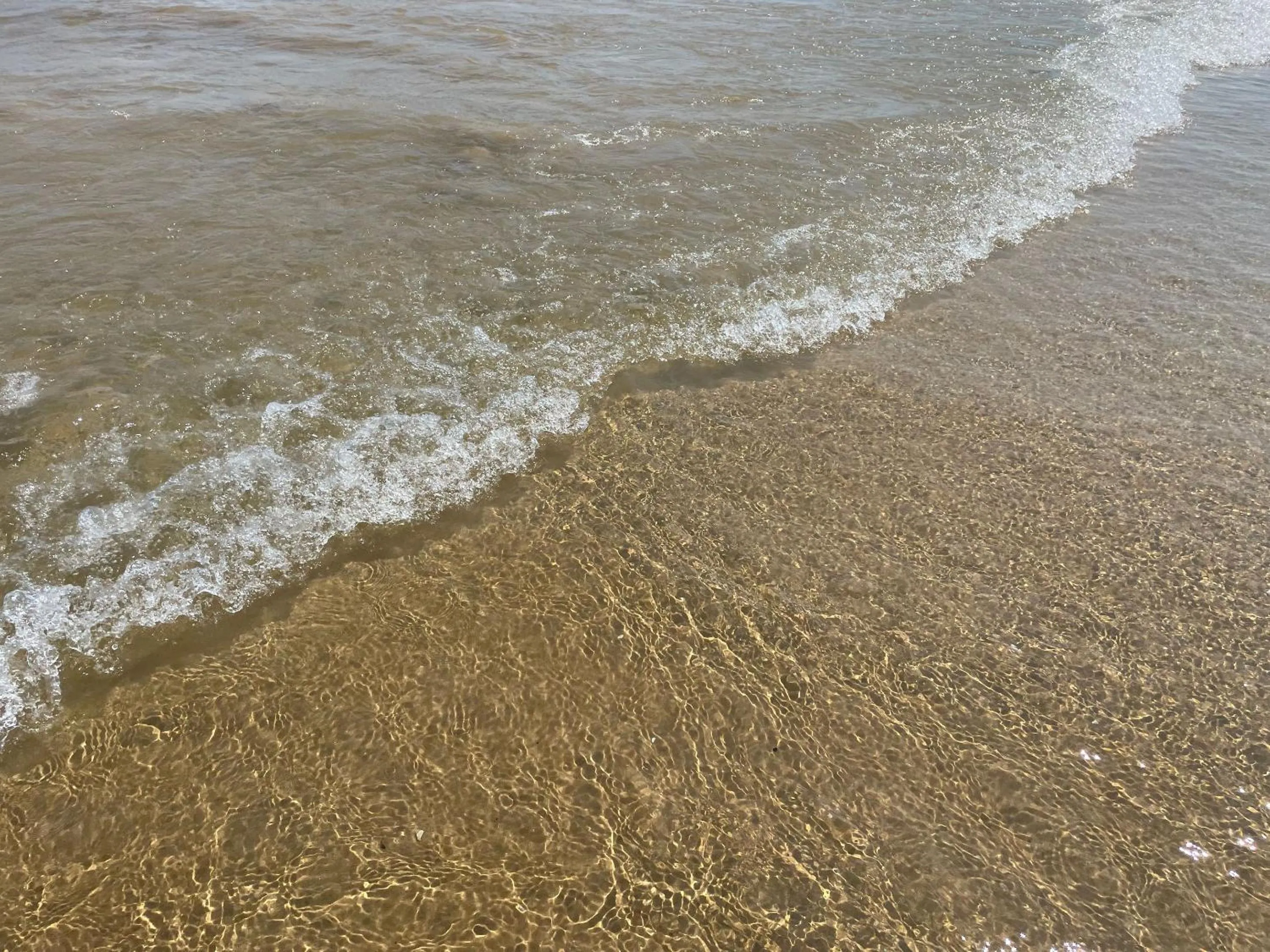 Natural landscape in Hotel Portonuovo