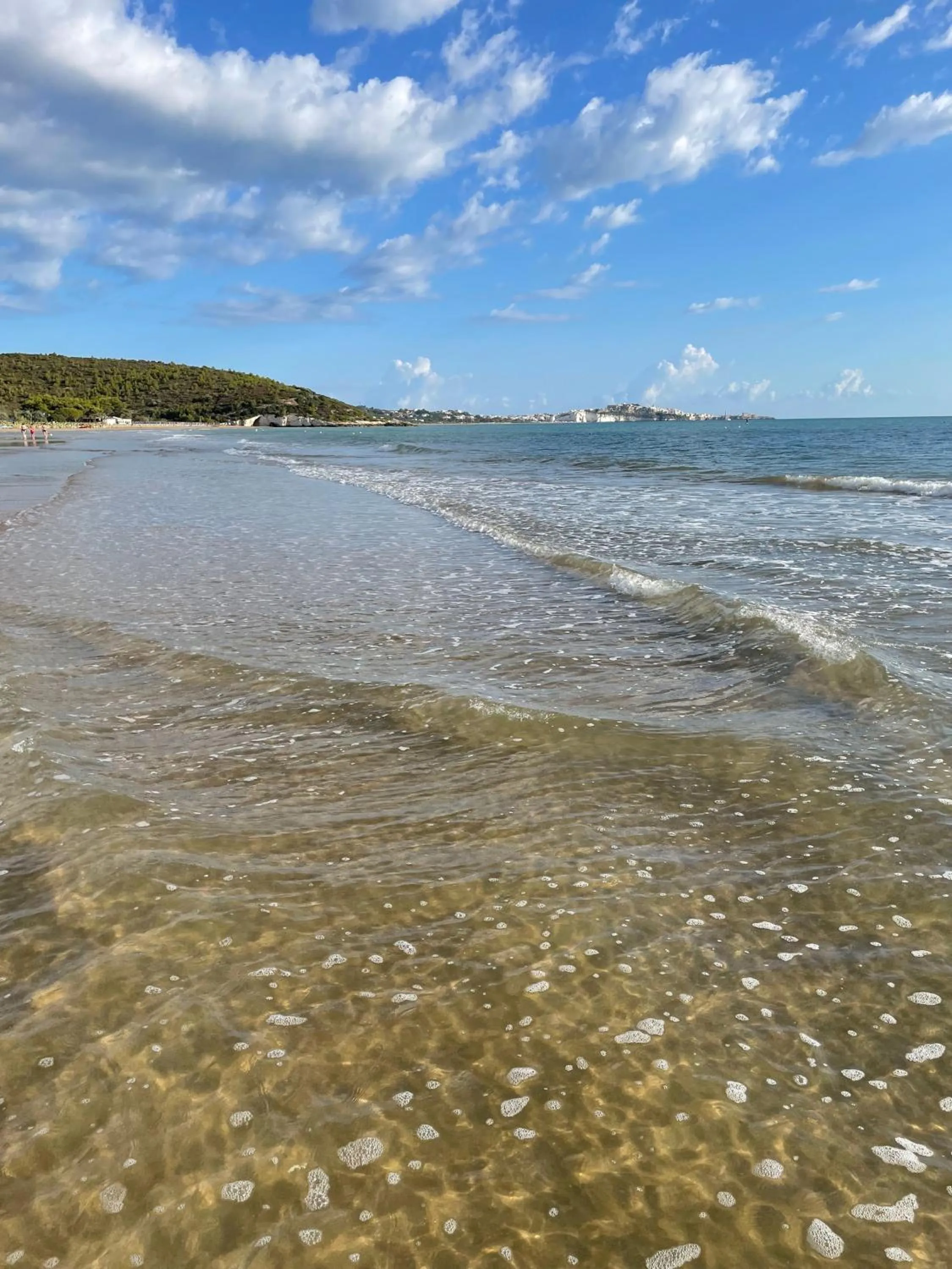 Natural landscape in Hotel Portonuovo