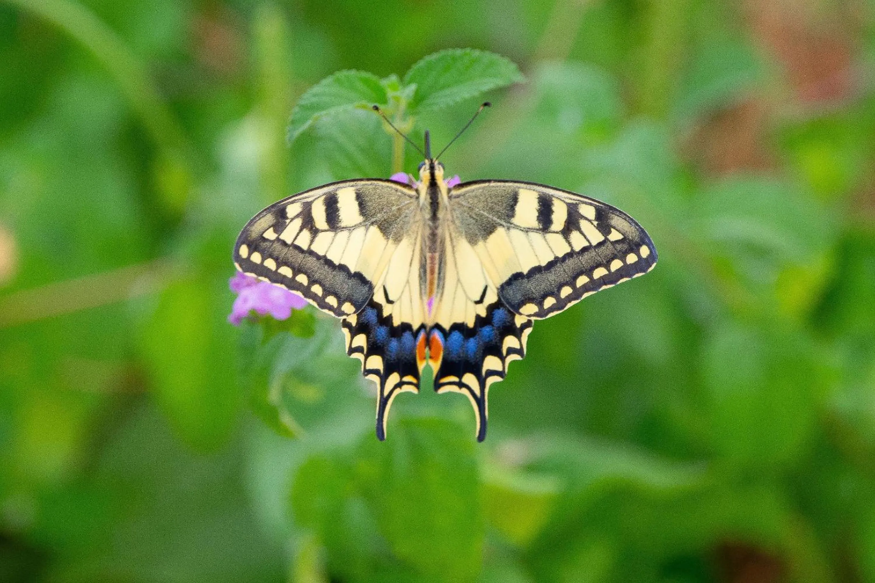 Day in Hotel Portonuovo