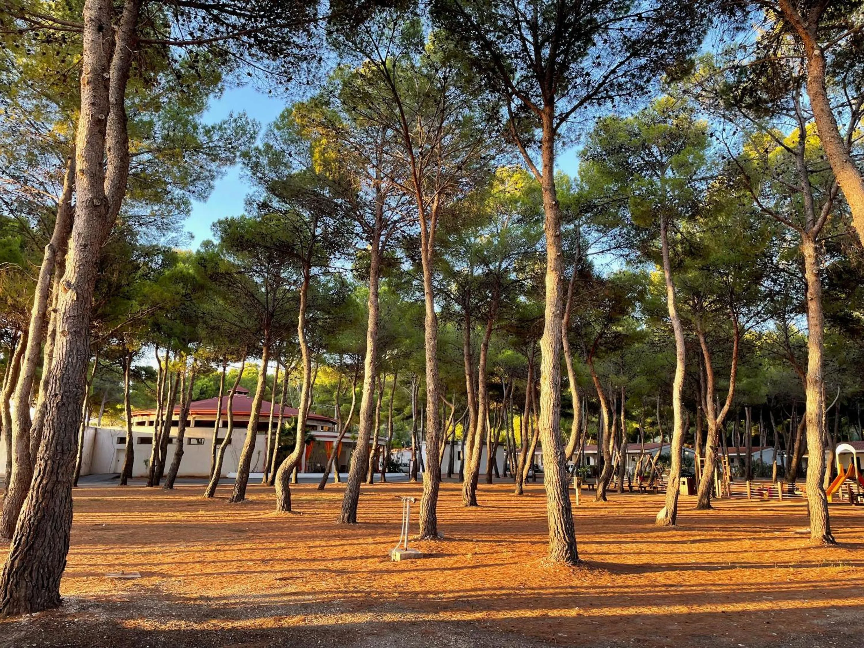 Day in Hotel Portonuovo