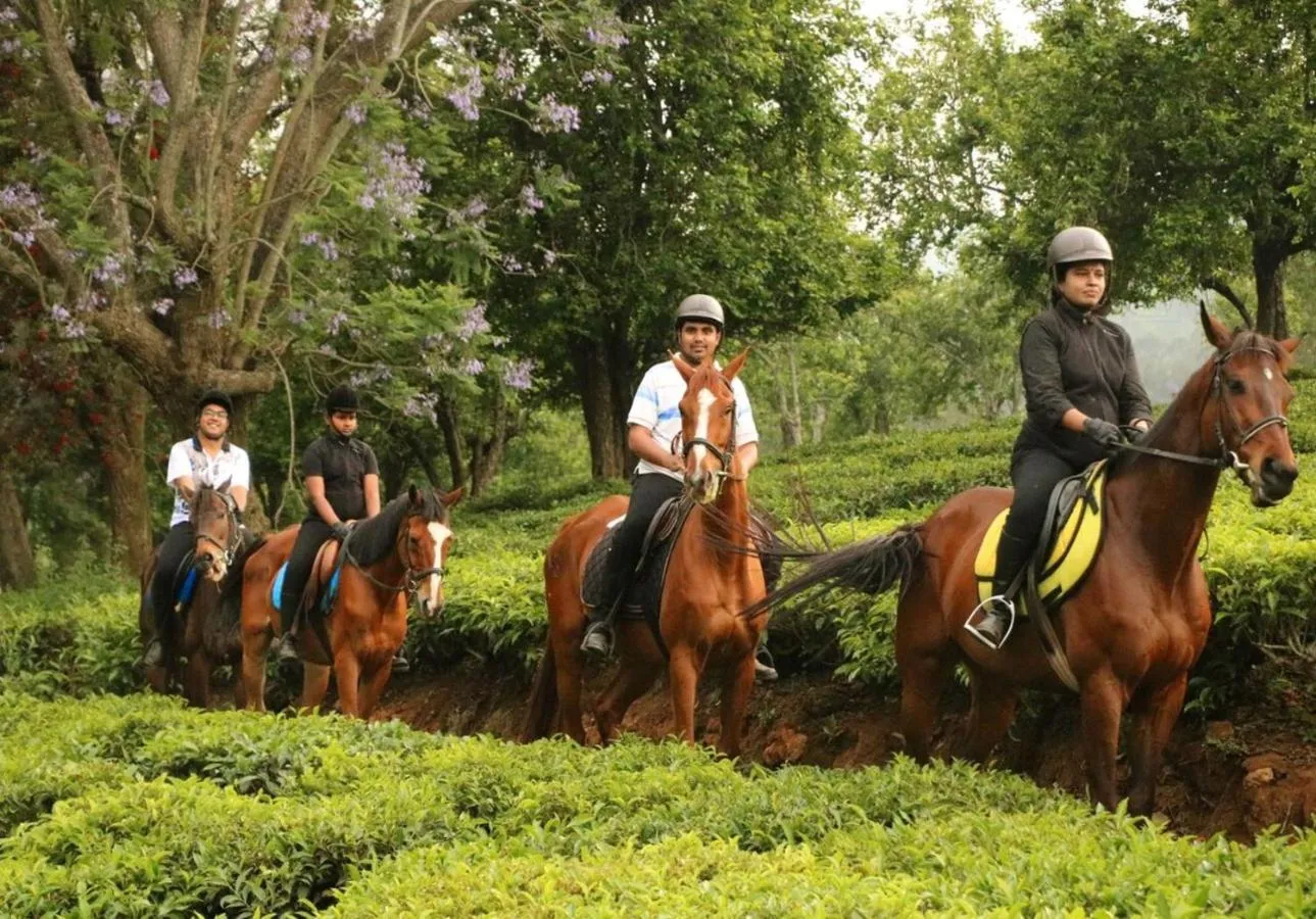 Horse-riding in Rosewood by Nature Resorts and Stays